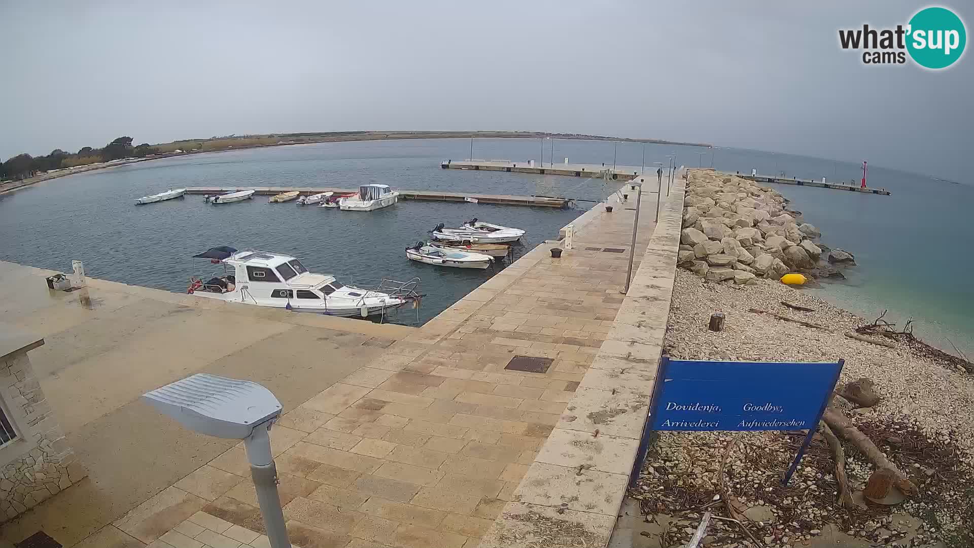 Cámara web de la isla de Unije: explore la belleza de la joya escondida de Croacia