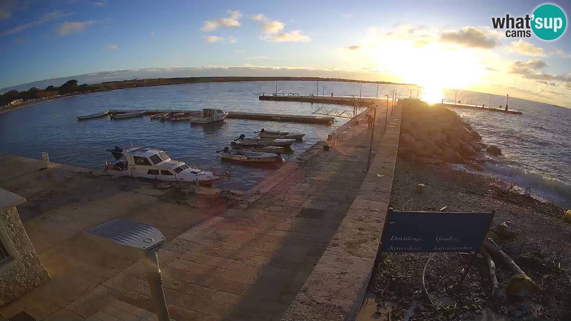 Cámara web de la isla de Unije: explore la belleza de la joya escondida de Croacia