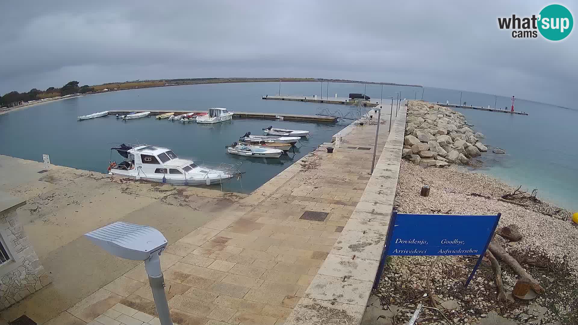 Cámara web de la isla de Unije: explore la belleza de la joya escondida de Croacia