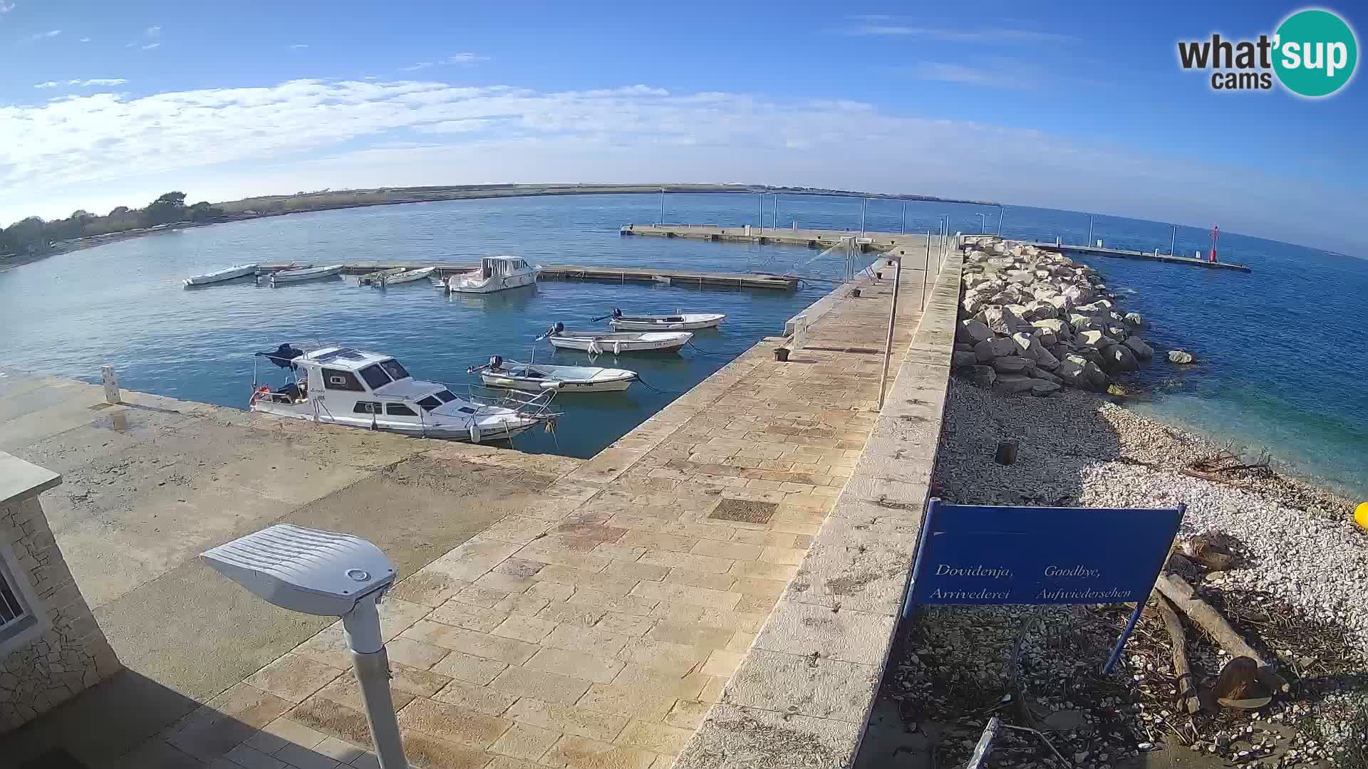 Cámara web de la isla de Unije: explore la belleza de la joya escondida de Croacia