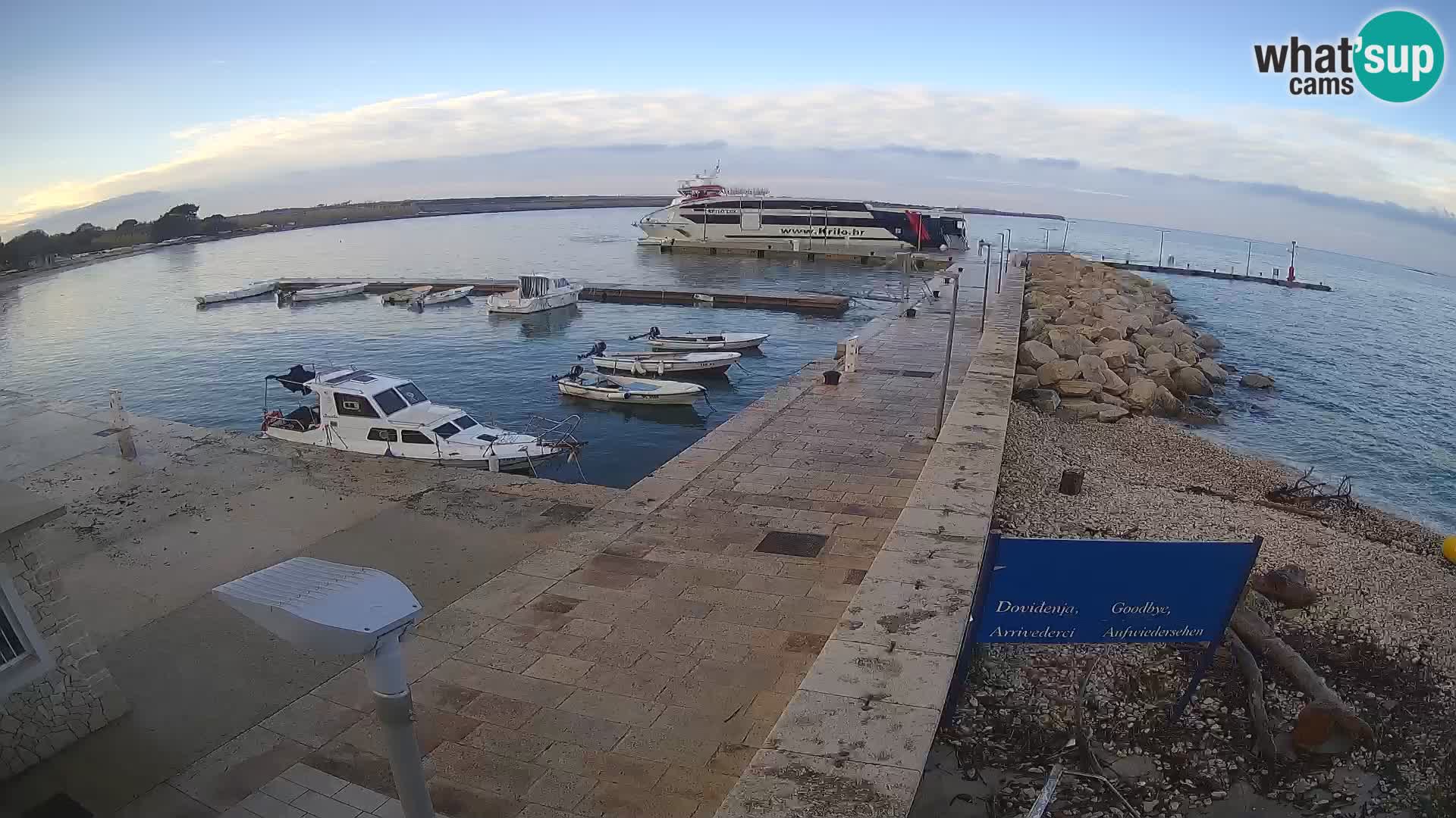 Webcam Isola di Unije – Esplora la bellezza della gemma nascosta della Croazia