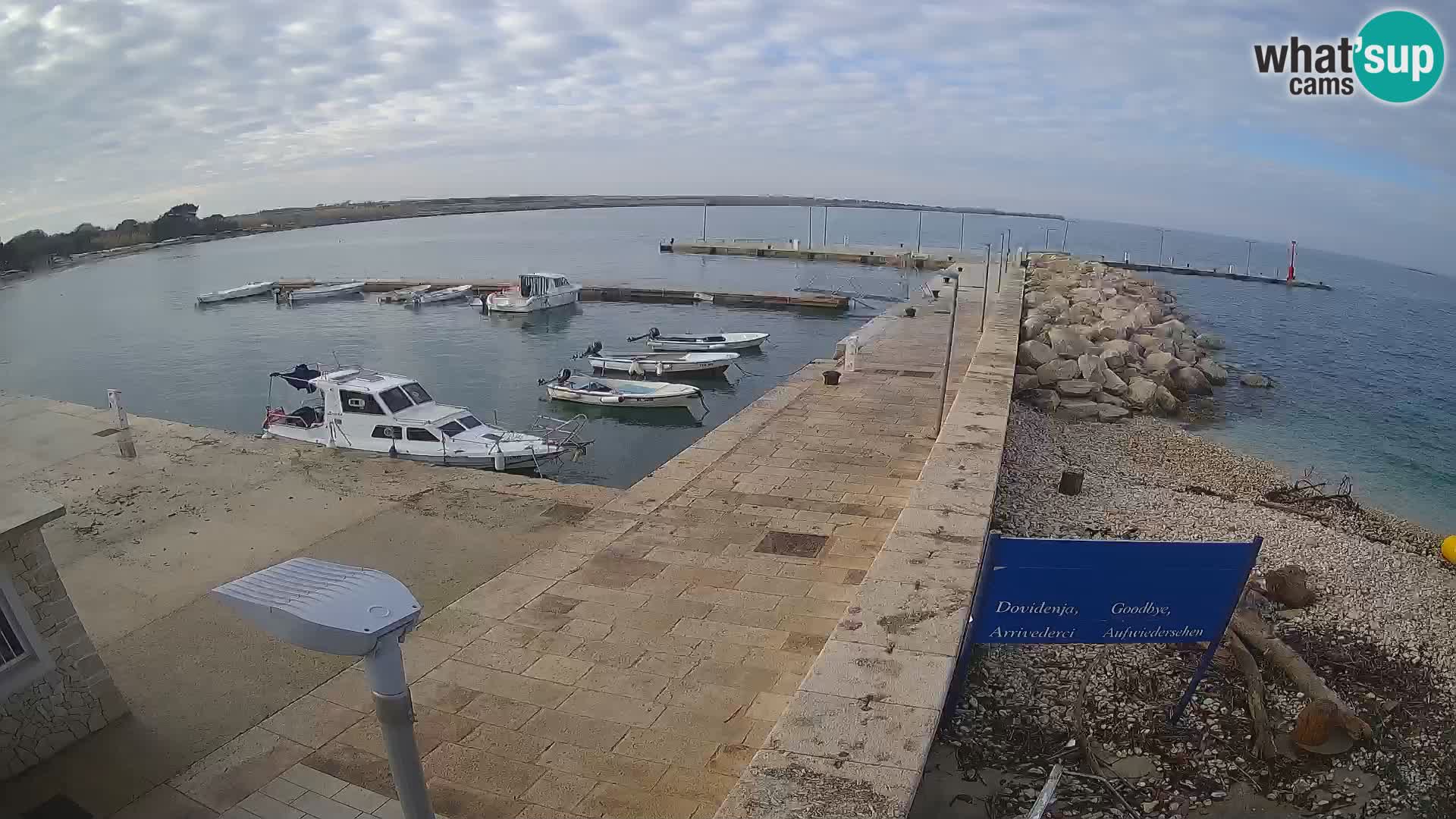 Cámara web de la isla de Unije: explore la belleza de la joya escondida de Croacia