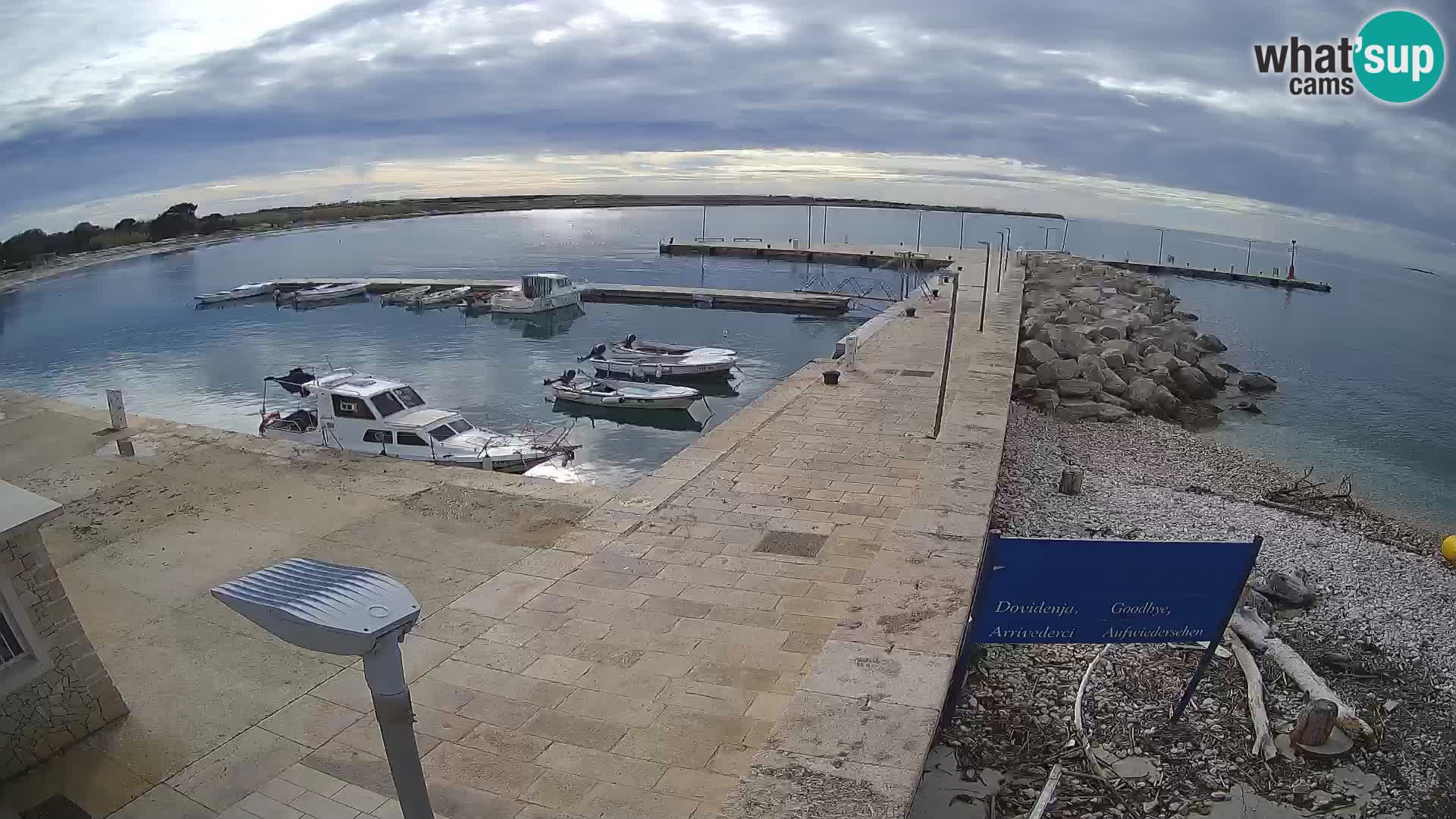 Cámara web de la isla de Unije: explore la belleza de la joya escondida de Croacia