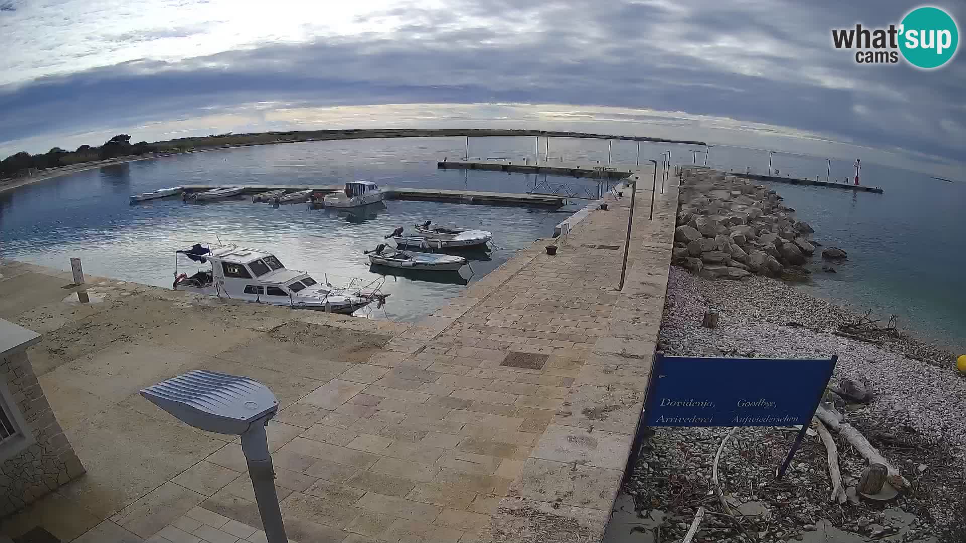 Cámara web de la isla de Unije: explore la belleza de la joya escondida de Croacia