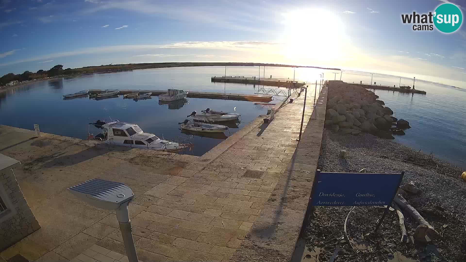 Webcam Isola di Unije – Esplora la bellezza della gemma nascosta della Croazia
