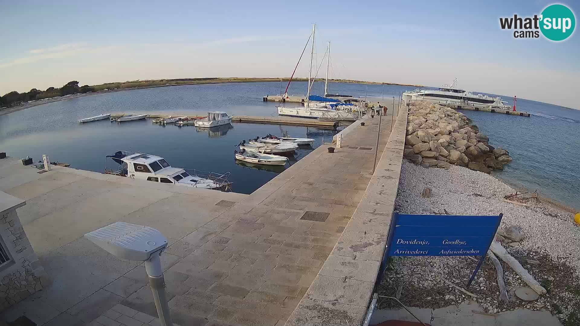 Spletna kamera otoka Unije – Raziščite lepoto skritega dragulja Hrvaške