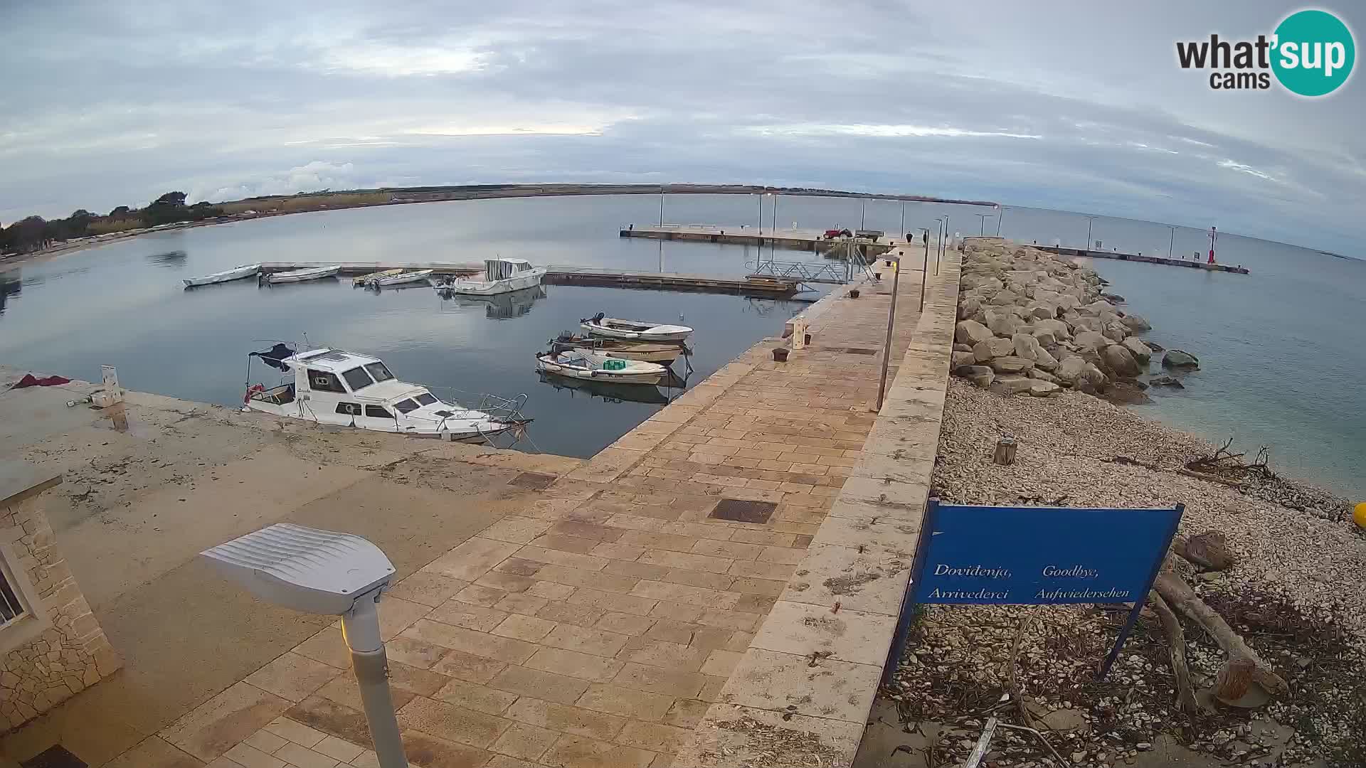 Cámara web de la isla de Unije: explore la belleza de la joya escondida de Croacia