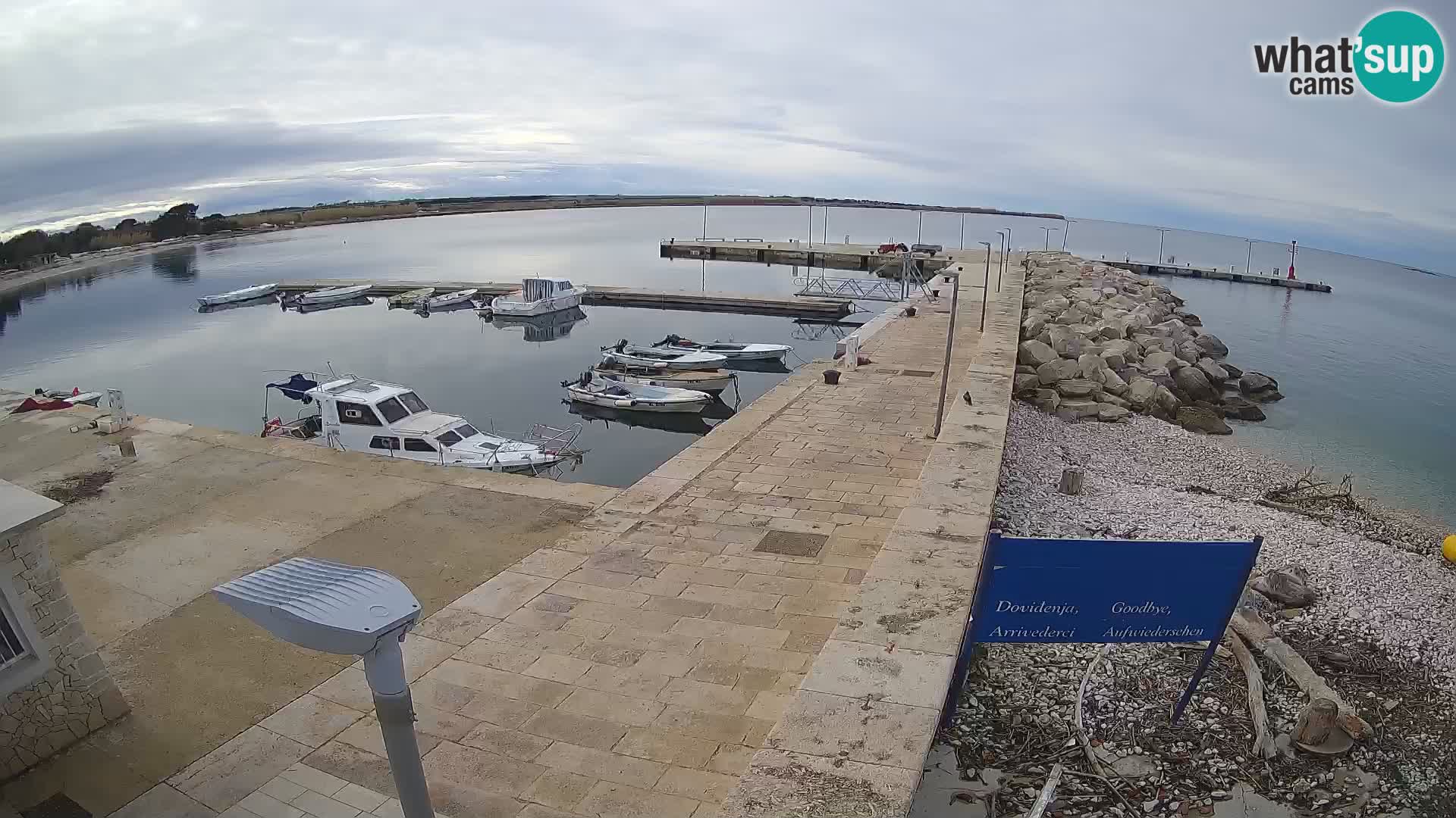 Cámara web de la isla de Unije: explore la belleza de la joya escondida de Croacia