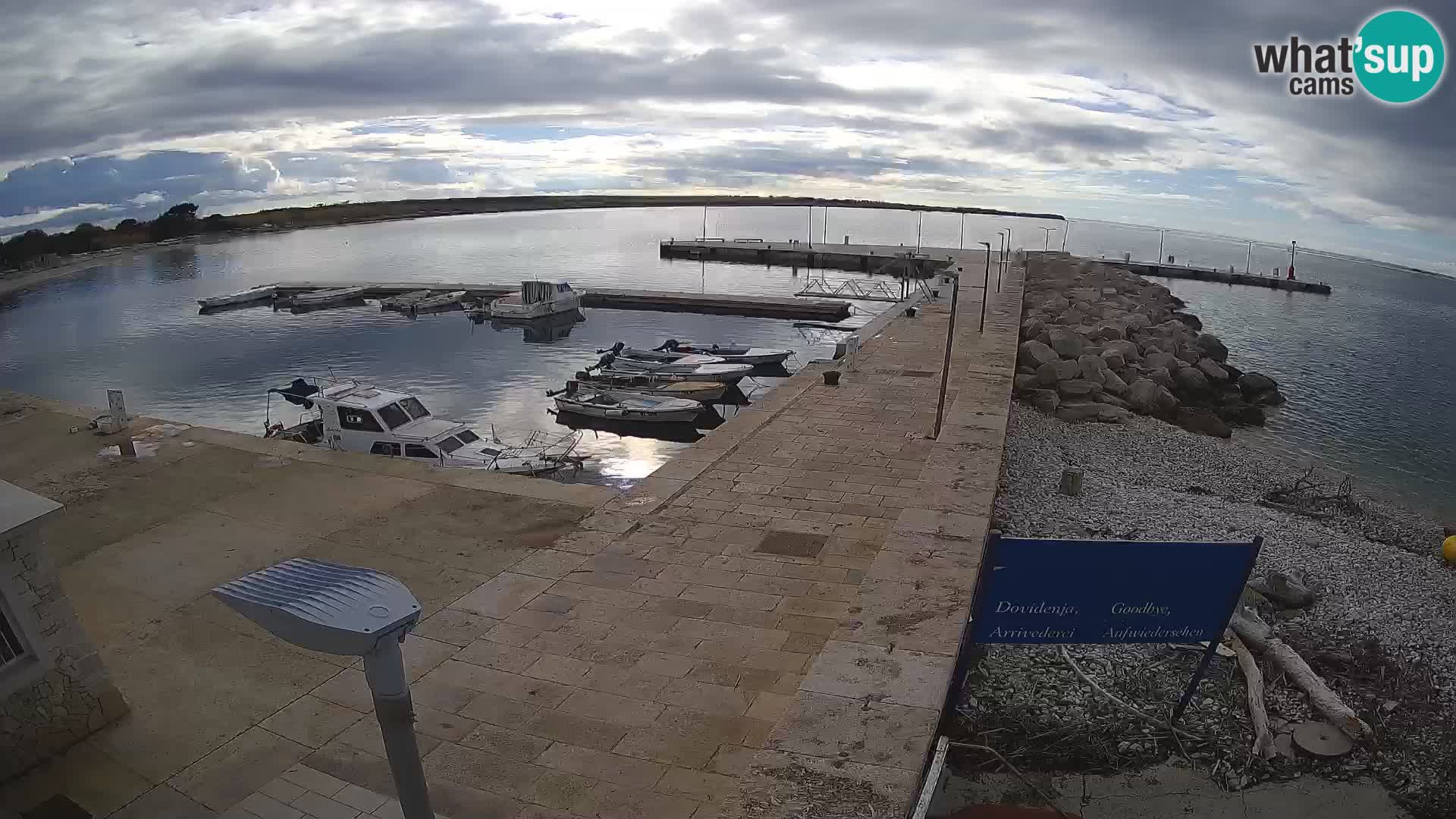 Cámara web de la isla de Unije: explore la belleza de la joya escondida de Croacia