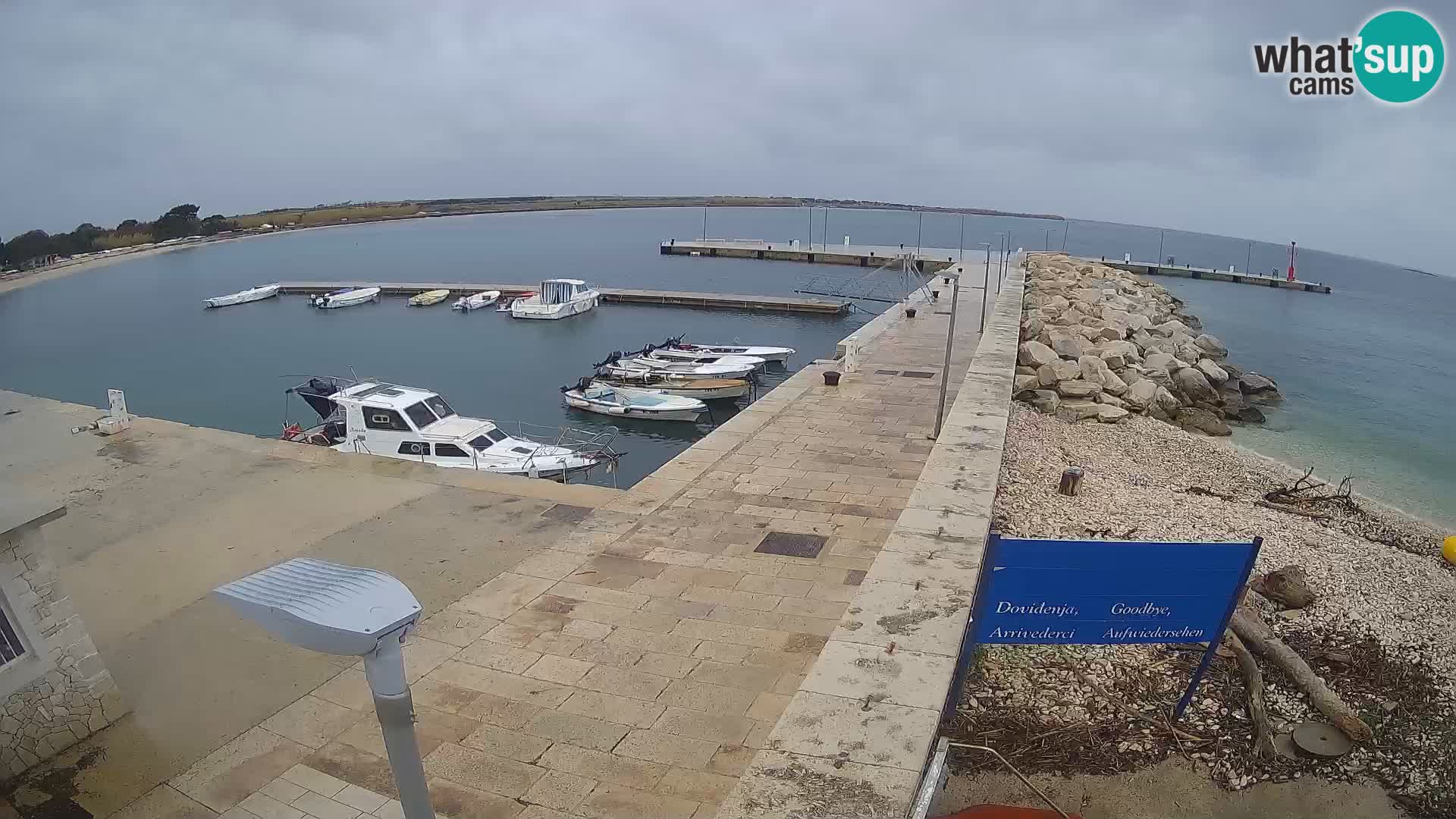 Cámara web de la isla de Unije: explore la belleza de la joya escondida de Croacia