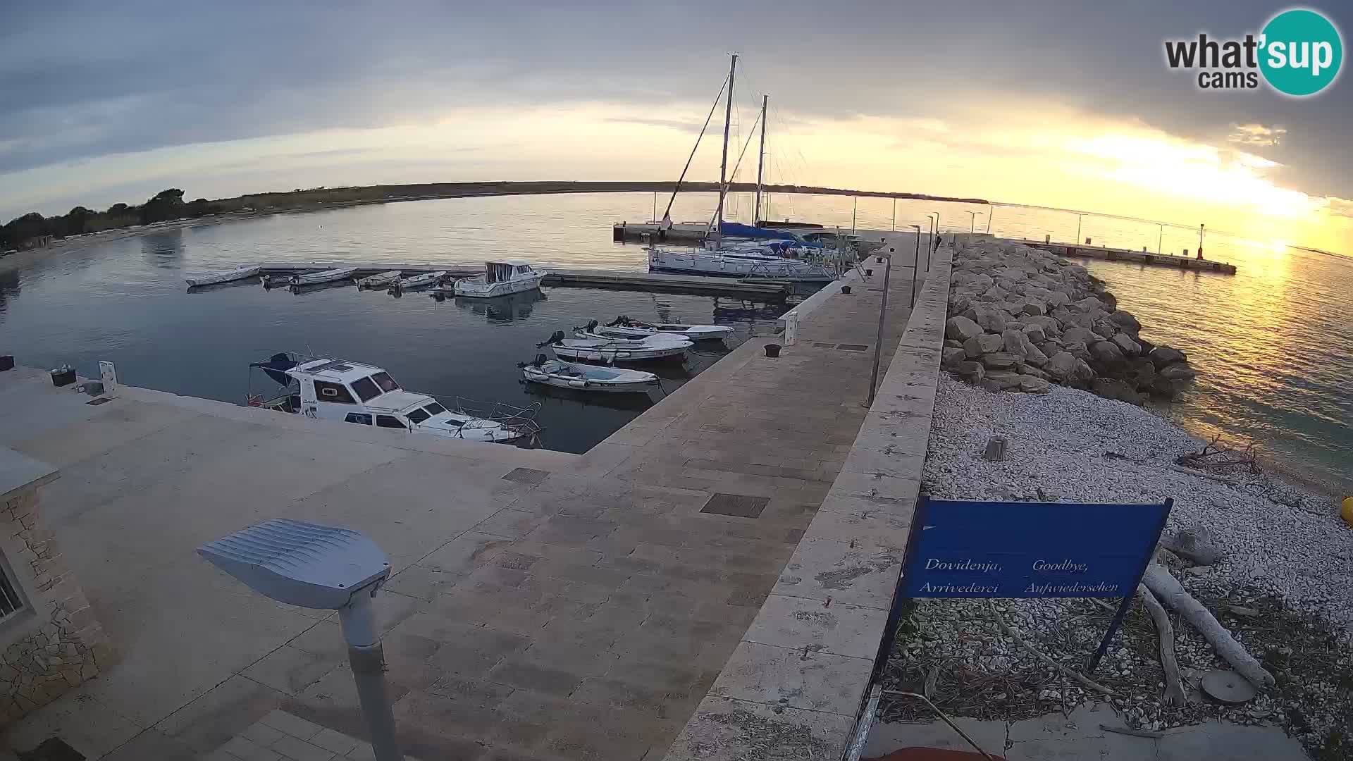 Cámara web de la isla de Unije: explore la belleza de la joya escondida de Croacia