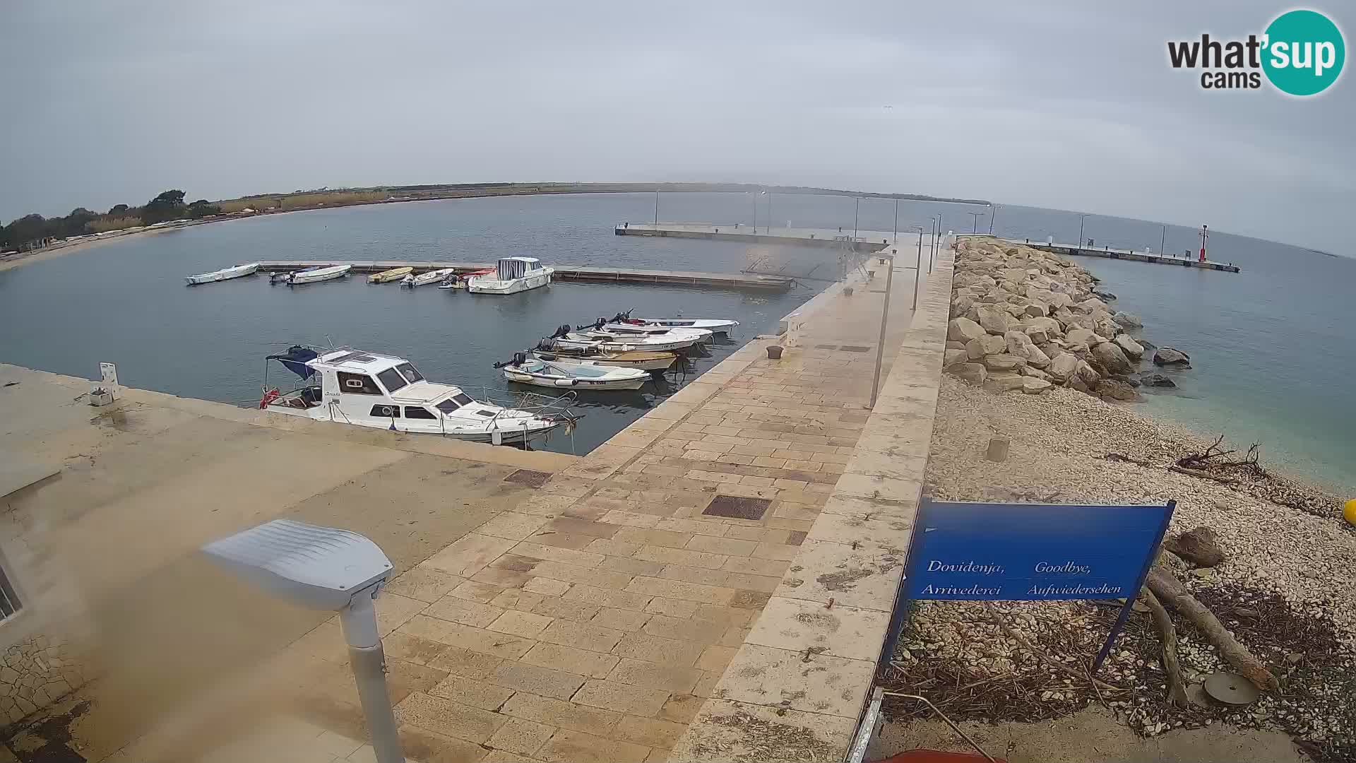 Cámara web de la isla de Unije: explore la belleza de la joya escondida de Croacia