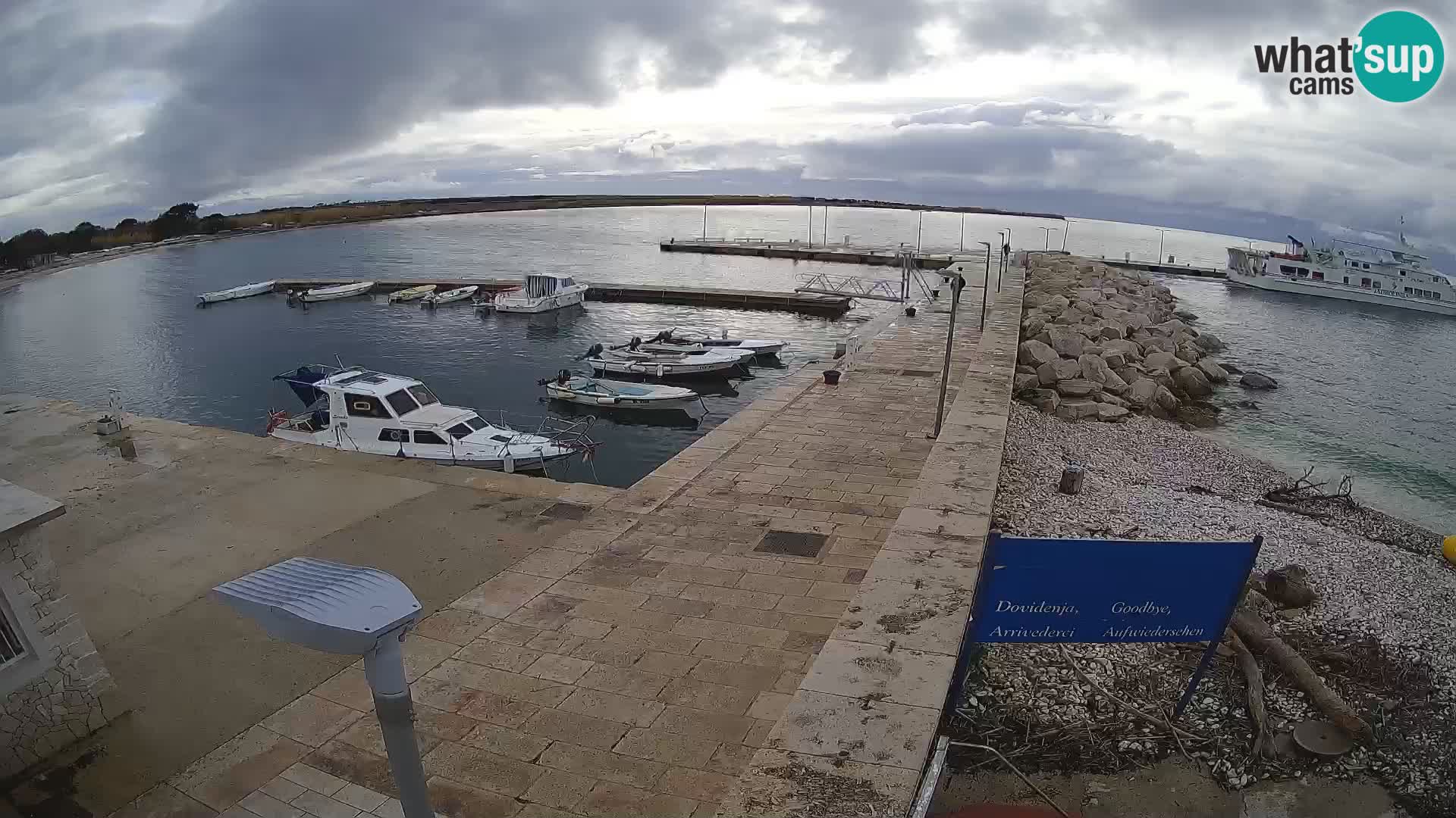 Cámara web de la isla de Unije: explore la belleza de la joya escondida de Croacia