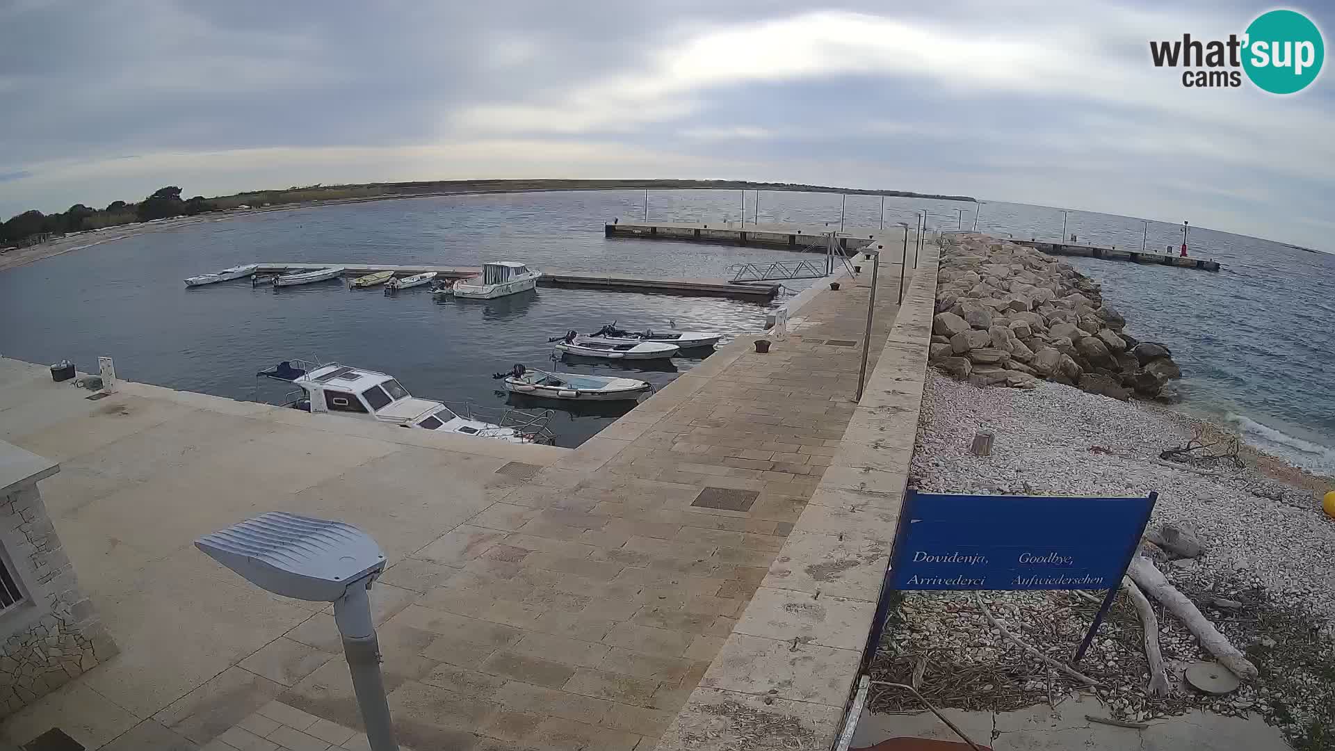 Cámara web de la isla de Unije: explore la belleza de la joya escondida de Croacia