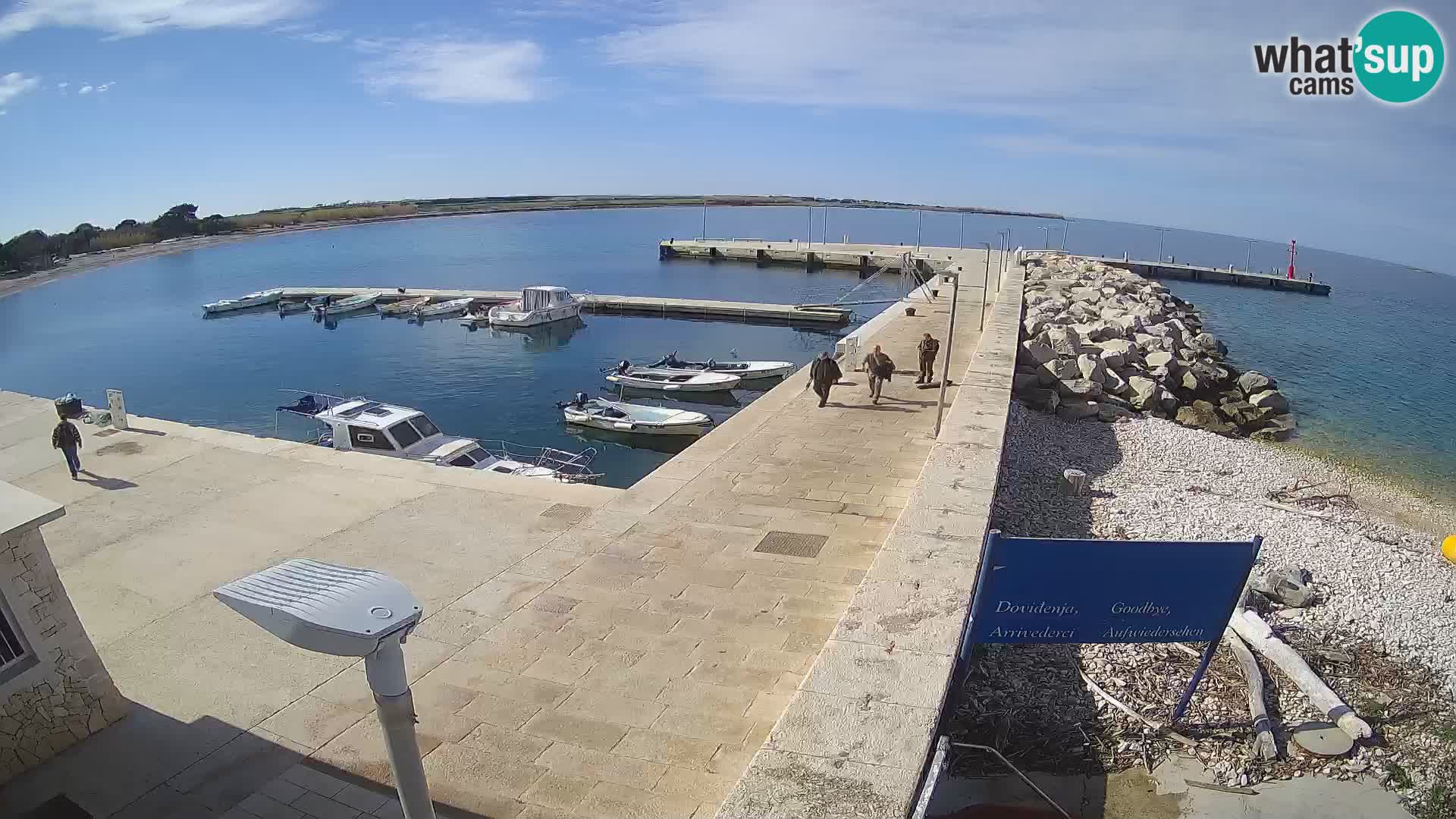 Cámara web de la isla de Unije: explore la belleza de la joya escondida de Croacia