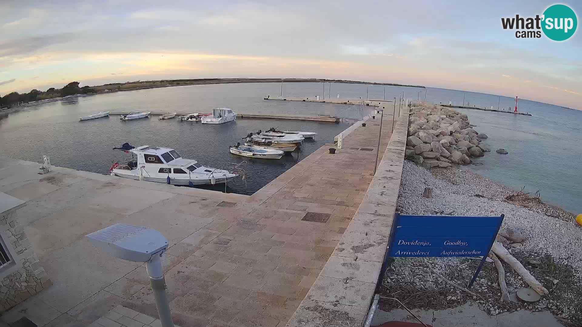 Cámara web de la isla de Unije: explore la belleza de la joya escondida de Croacia