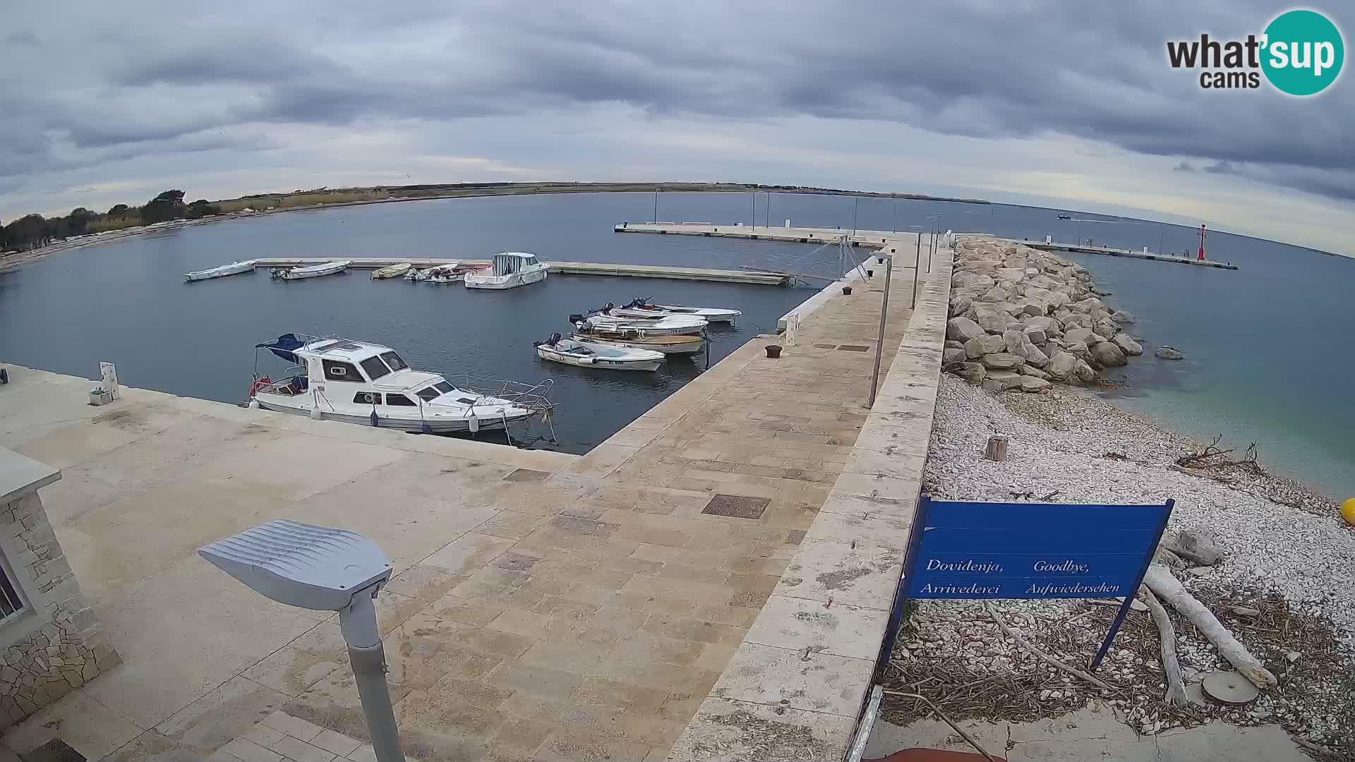 Cámara web de la isla de Unije: explore la belleza de la joya escondida de Croacia