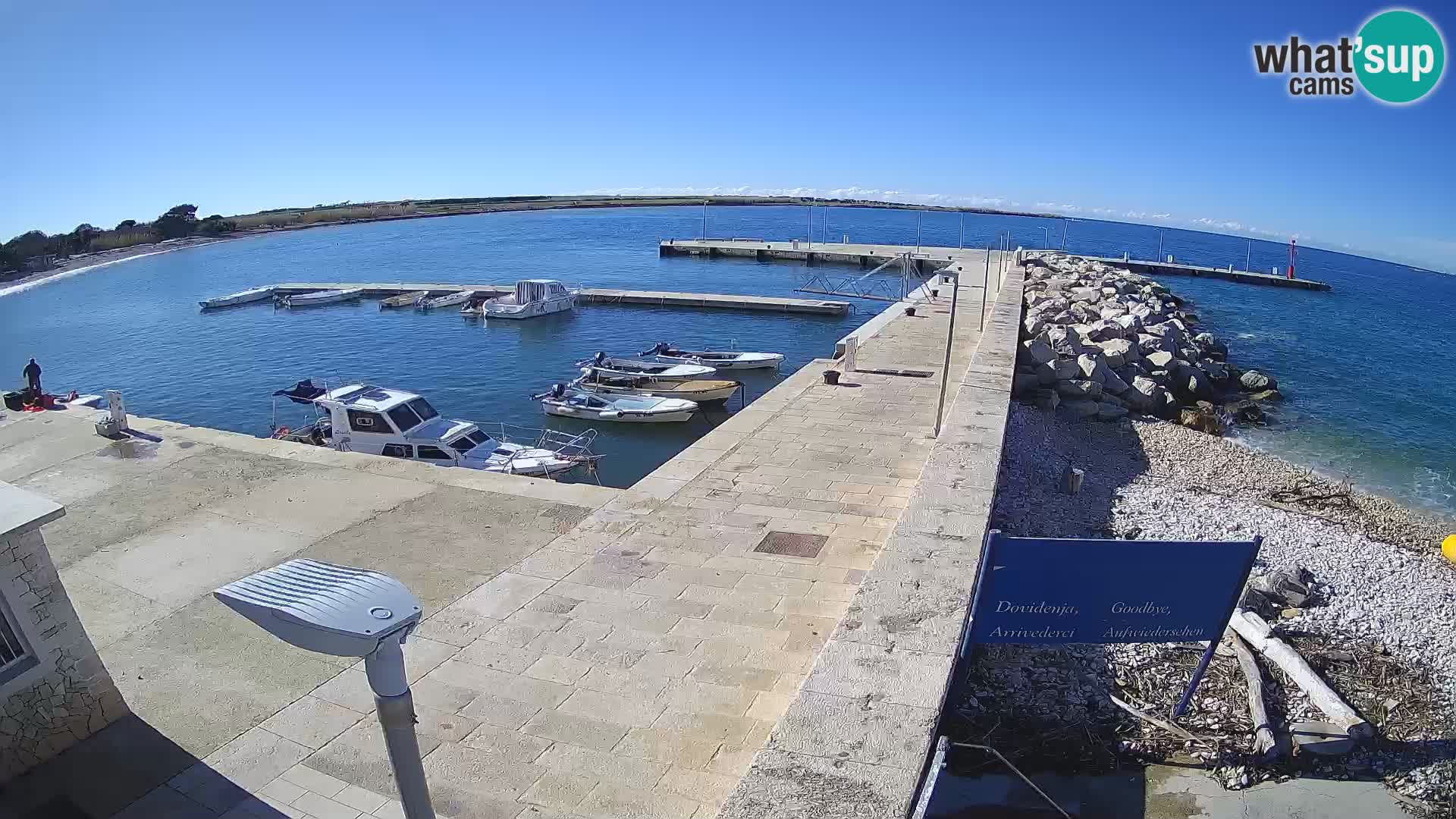 Cámara web de la isla de Unije: explore la belleza de la joya escondida de Croacia