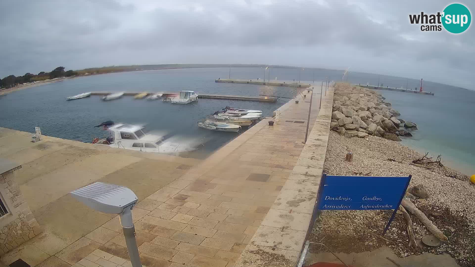 Cámara web de la isla de Unije: explore la belleza de la joya escondida de Croacia