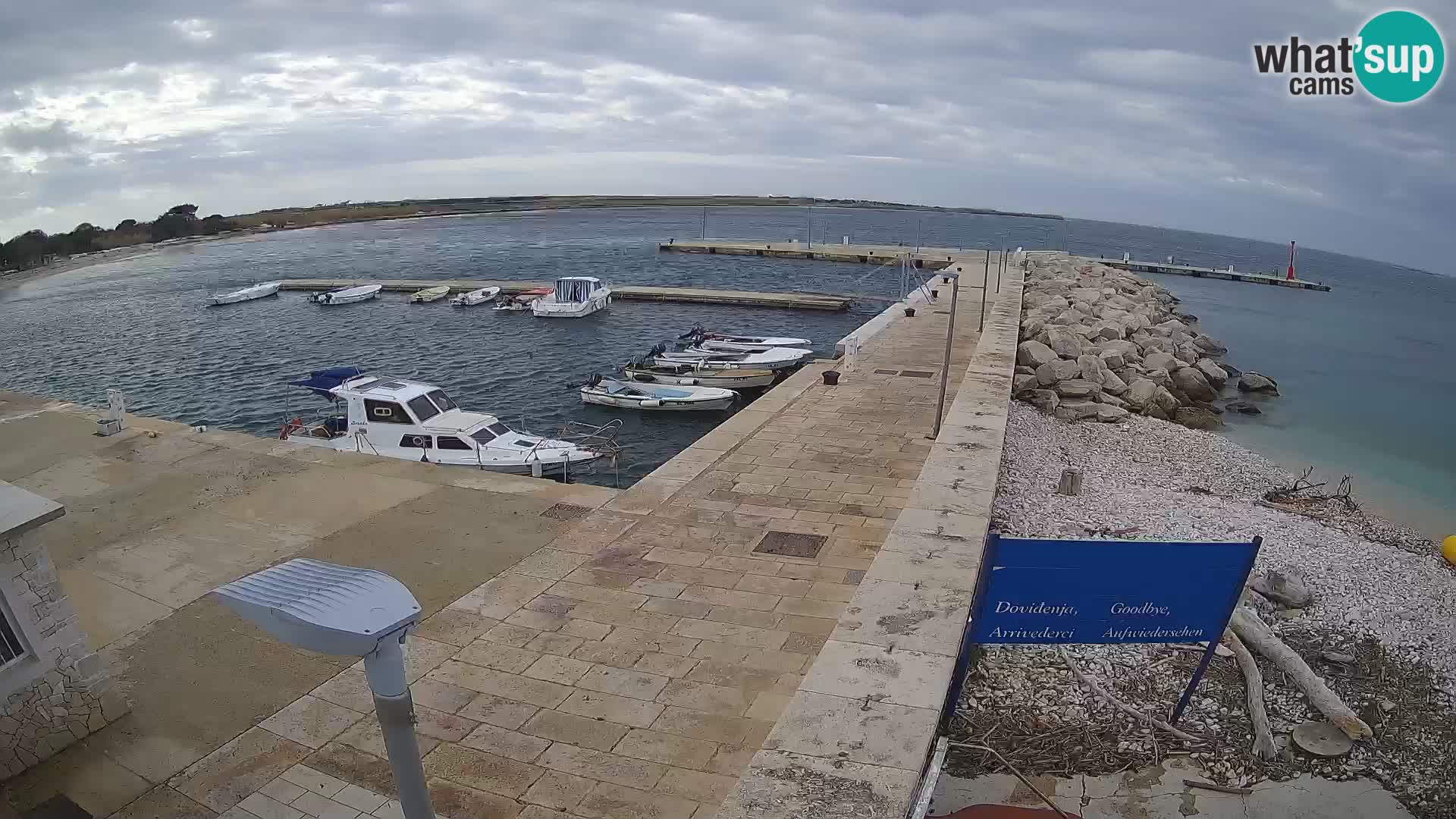 Cámara web de la isla de Unije: explore la belleza de la joya escondida de Croacia