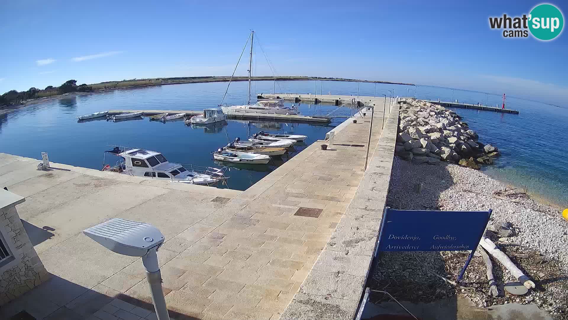 Webcam Isola di Unije – Esplora la bellezza della gemma nascosta della Croazia