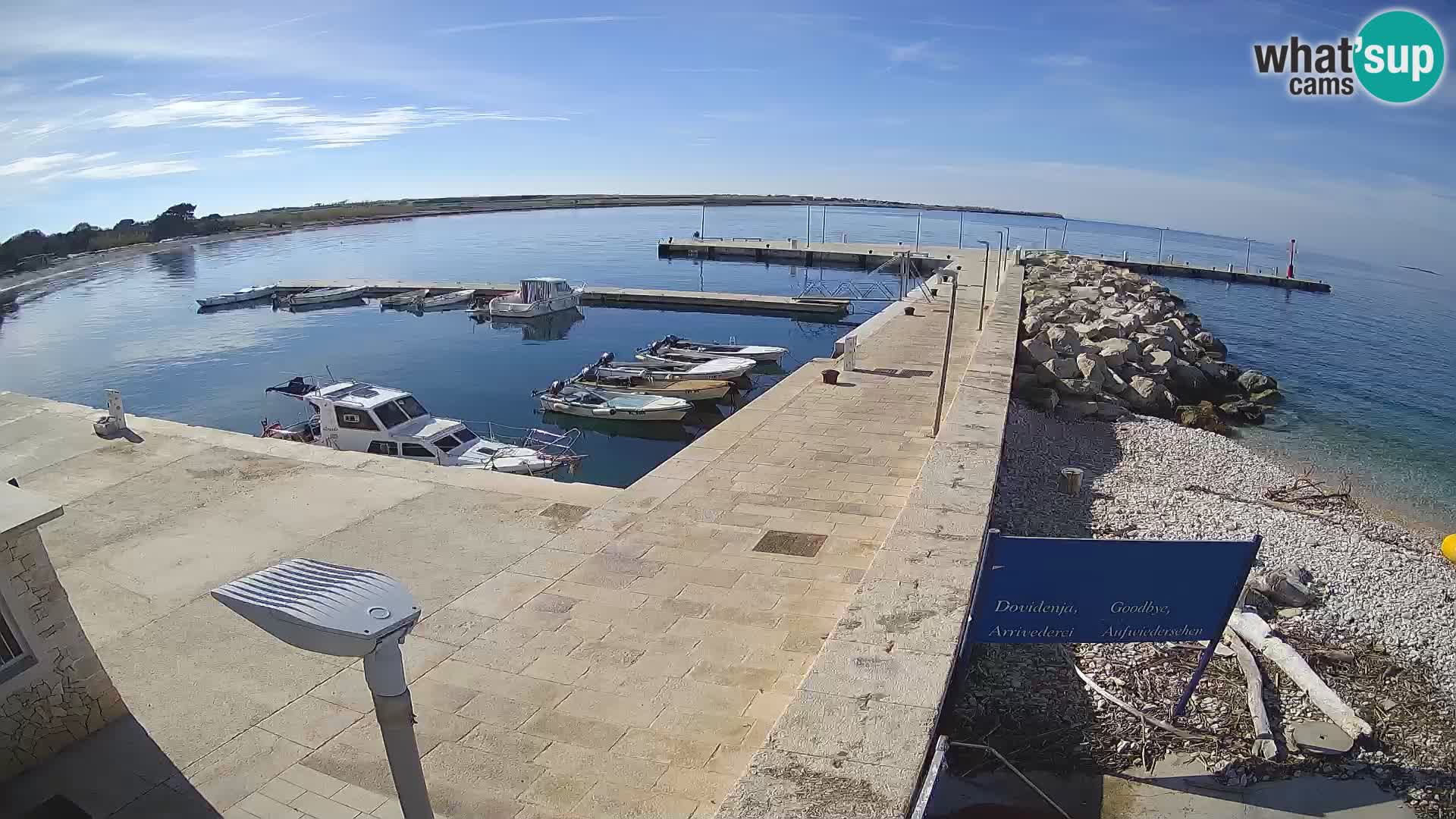 Webcam de l&rsquo;île d&rsquo;Unije – Explorez la beauté du joyau caché de la Croatie