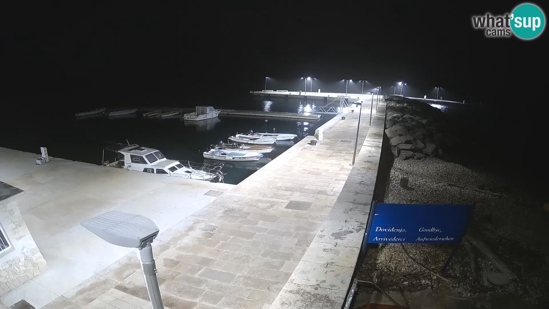 Cámara web de la isla de Unije: explore la belleza de la joya escondida de Croacia