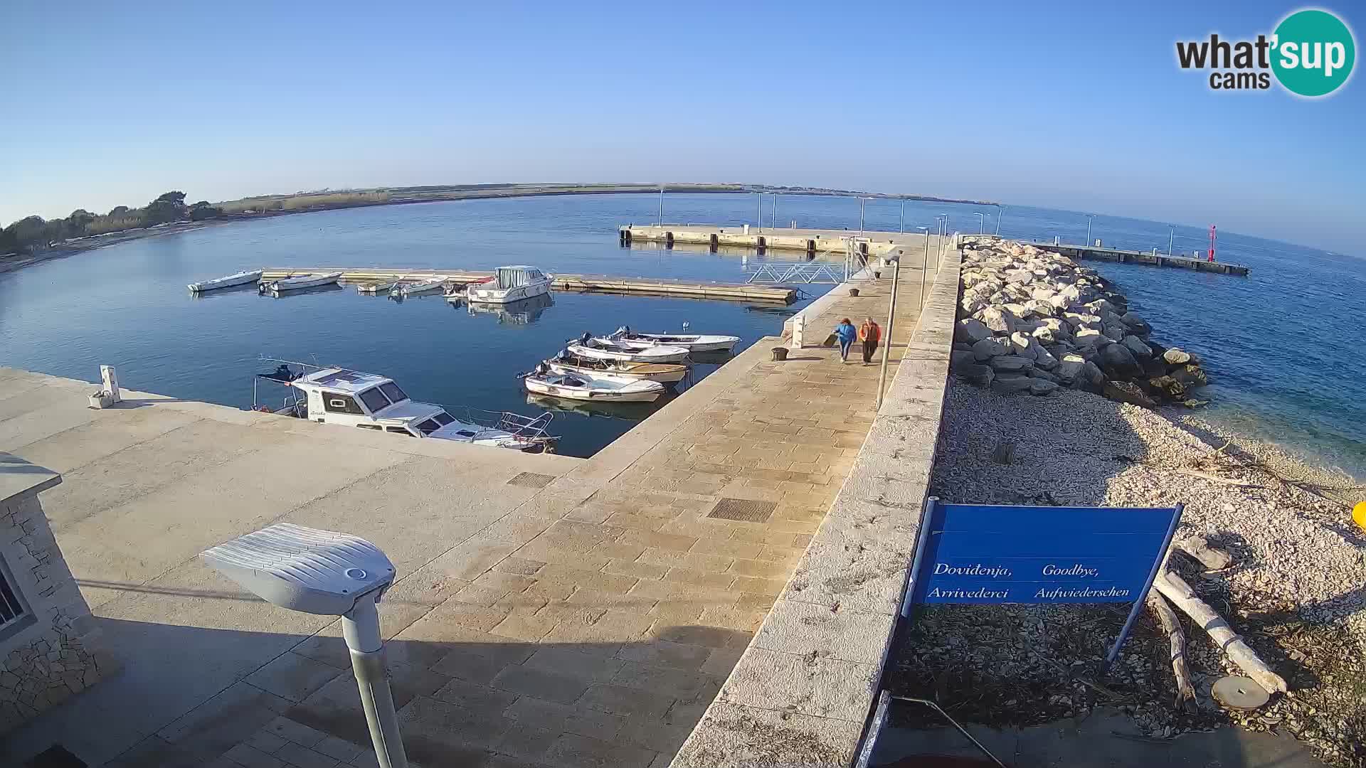 Cámara web de la isla de Unije: explore la belleza de la joya escondida de Croacia