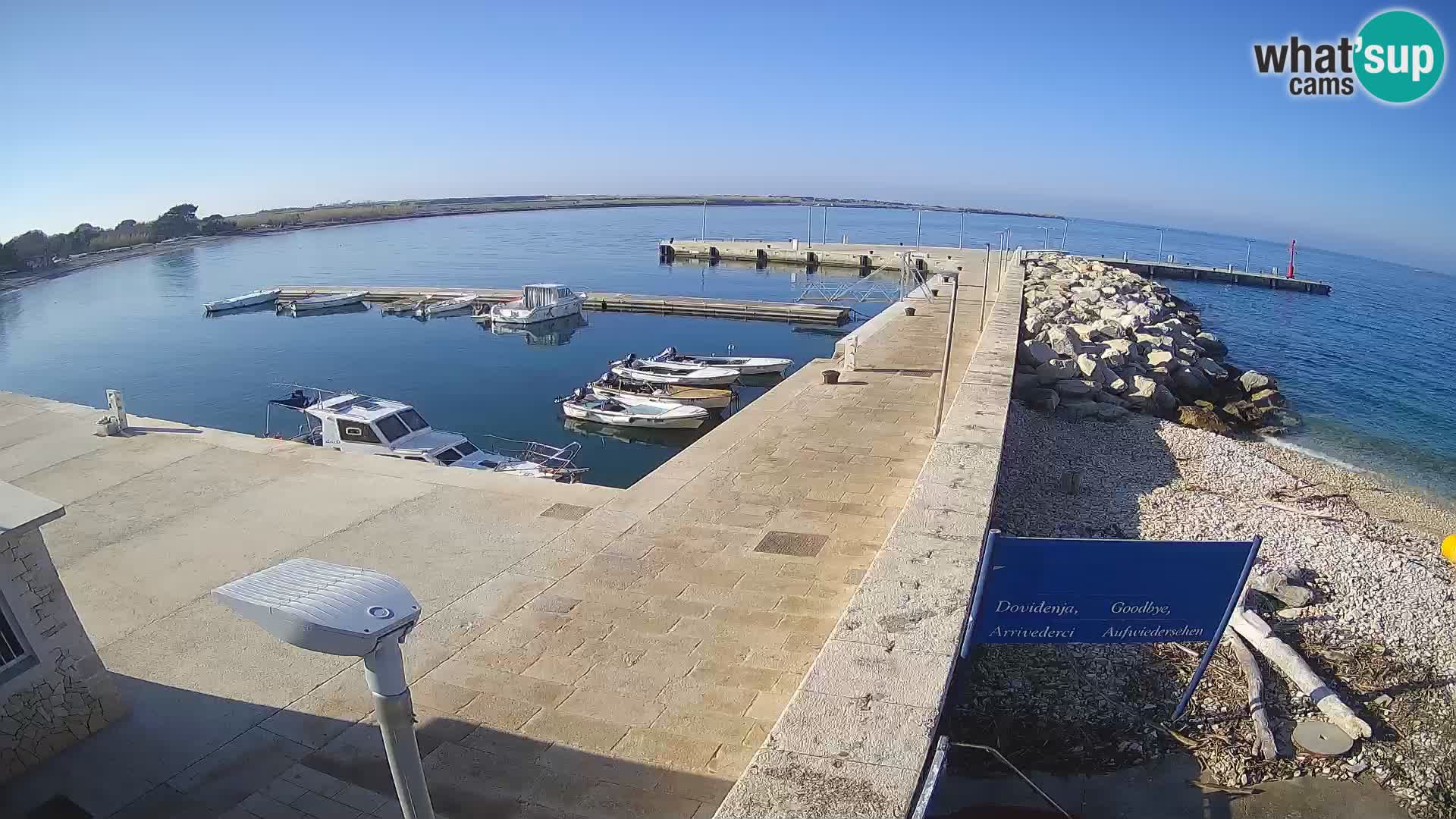 Cámara web de la isla de Unije: explore la belleza de la joya escondida de Croacia