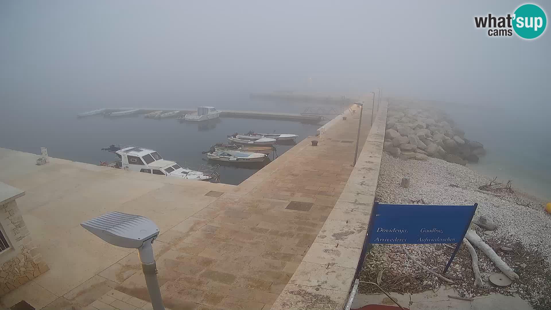 Cámara web de la isla de Unije: explore la belleza de la joya escondida de Croacia