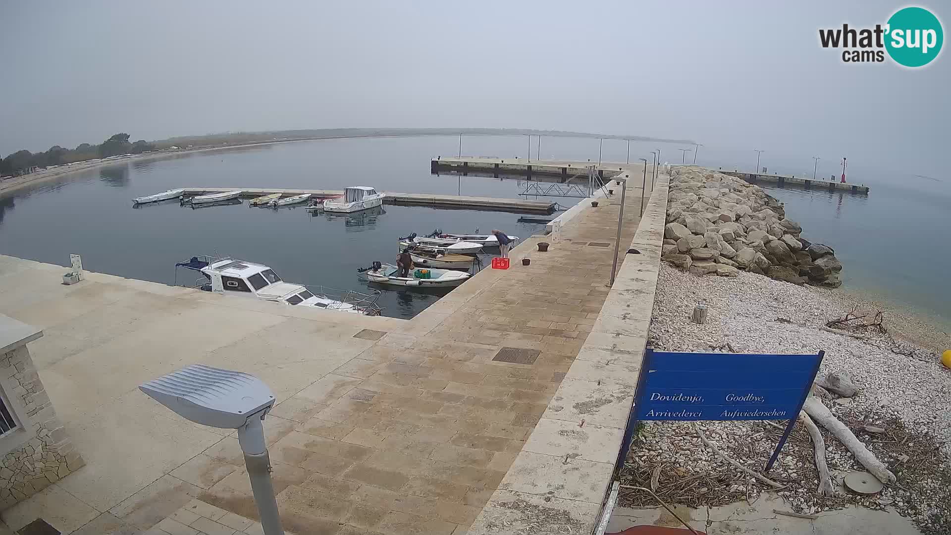 Cámara web de la isla de Unije: explore la belleza de la joya escondida de Croacia