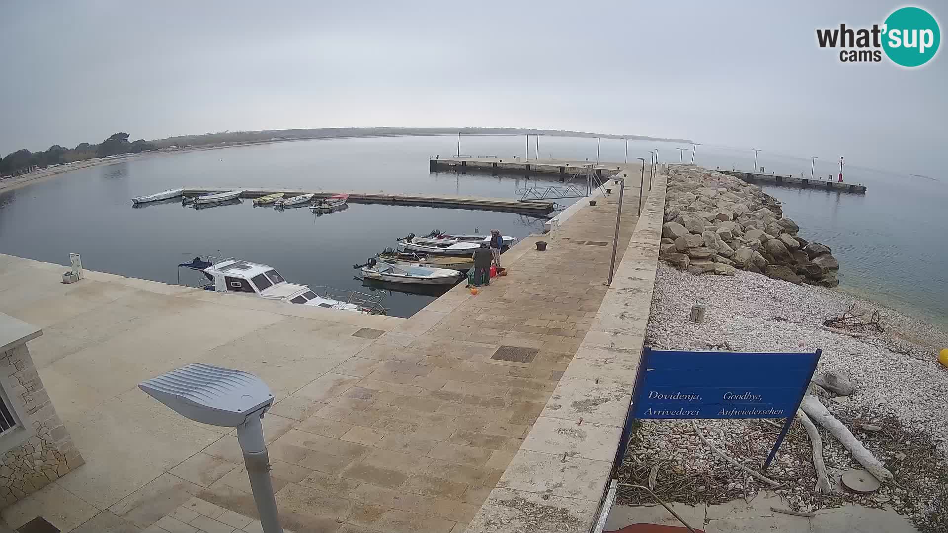 Webcam Isola di Unije – Esplora la bellezza della gemma nascosta della Croazia