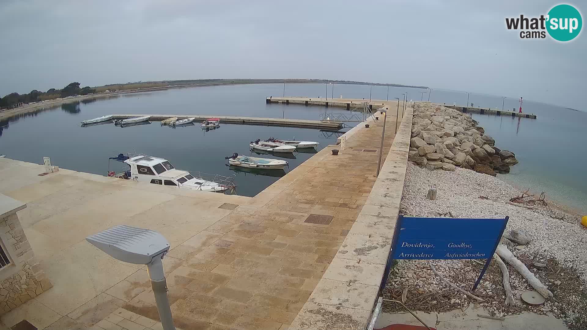 Cámara web de la isla de Unije: explore la belleza de la joya escondida de Croacia