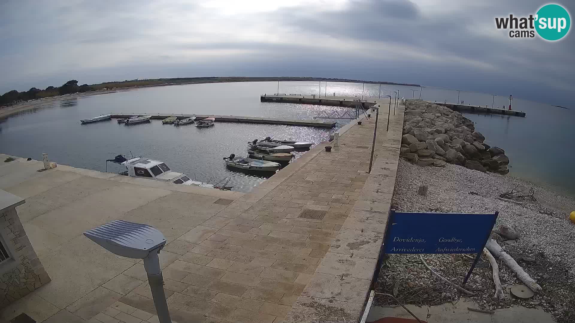 Cámara web de la isla de Unije: explore la belleza de la joya escondida de Croacia