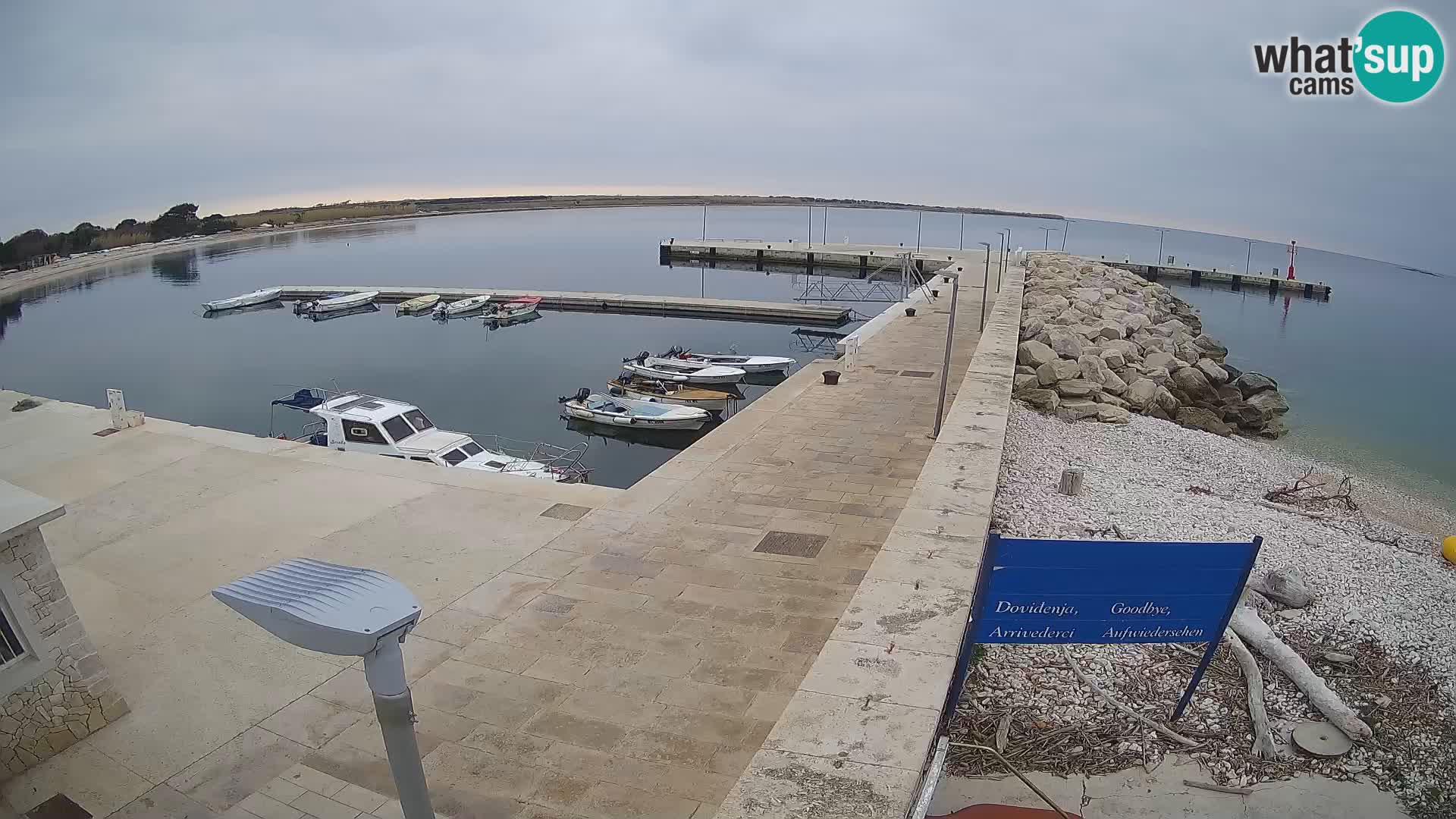 Cámara web de la isla de Unije: explore la belleza de la joya escondida de Croacia