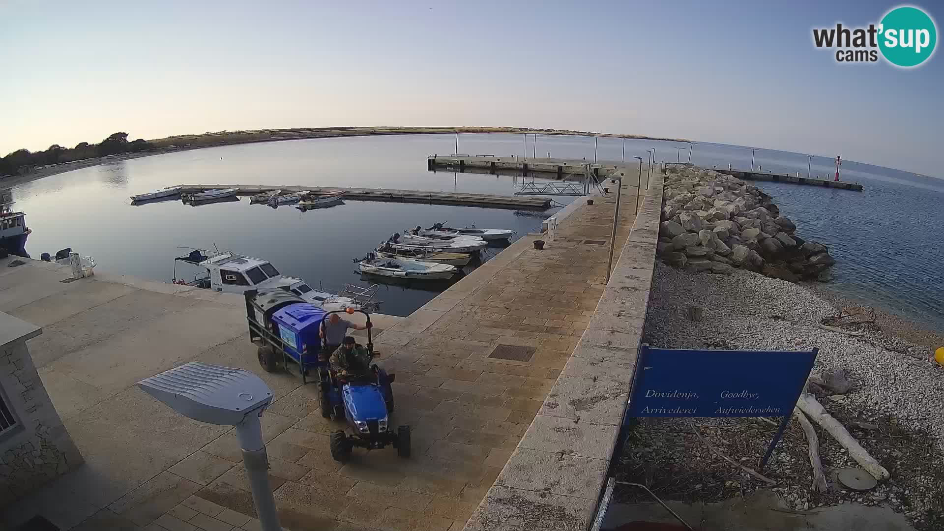 Cámara web de la isla de Unije: explore la belleza de la joya escondida de Croacia