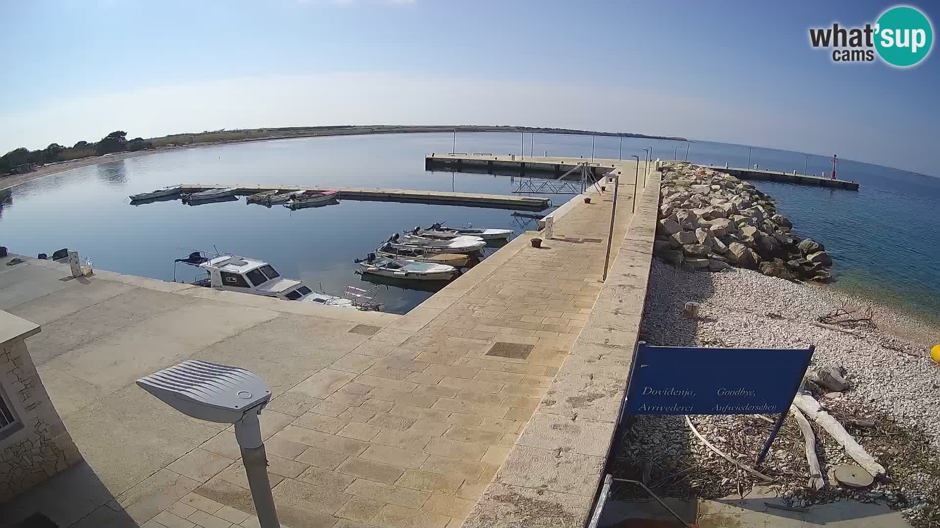 Cámara web de la isla de Unije: explore la belleza de la joya escondida de Croacia