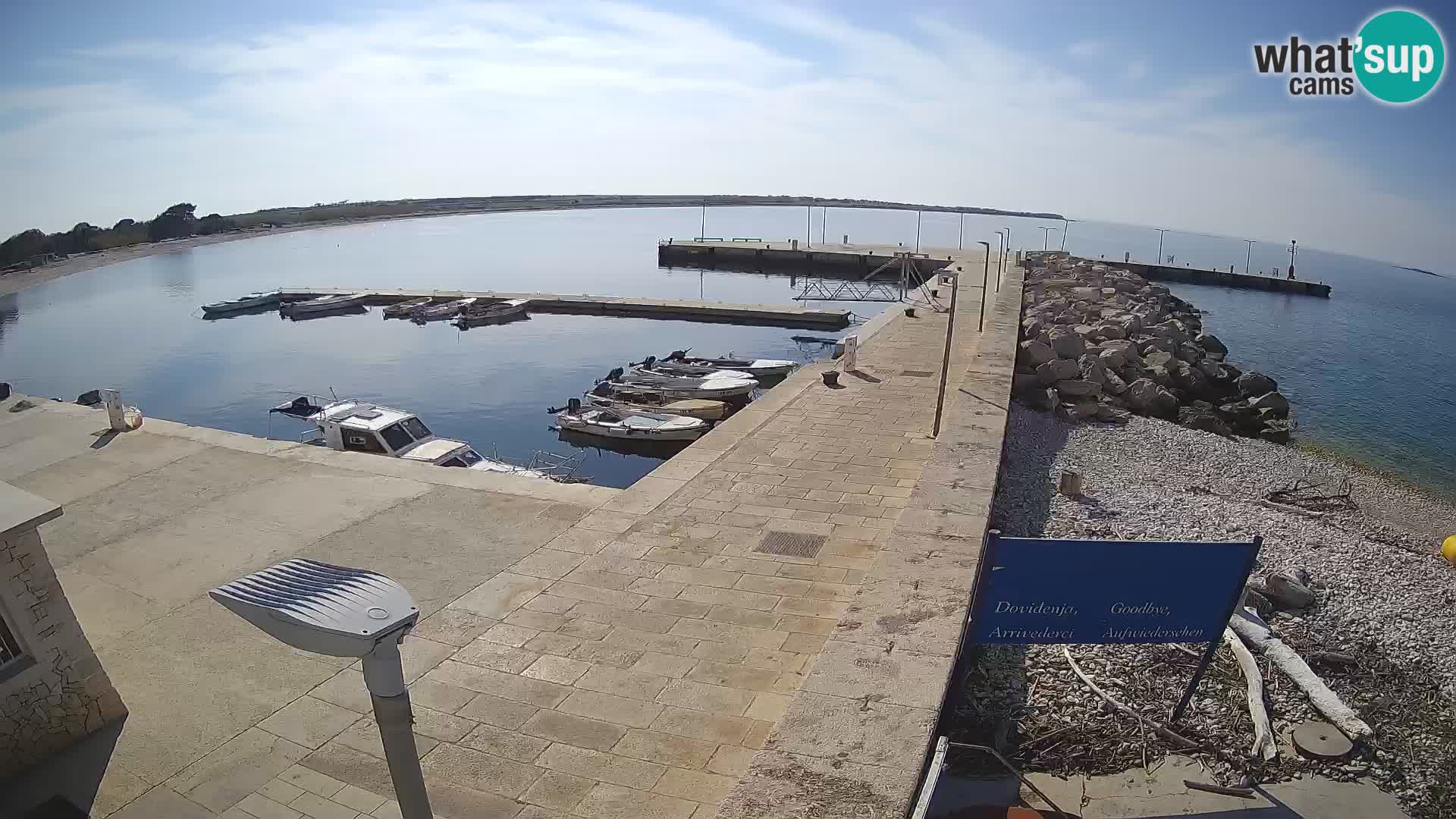 Cámara web de la isla de Unije: explore la belleza de la joya escondida de Croacia