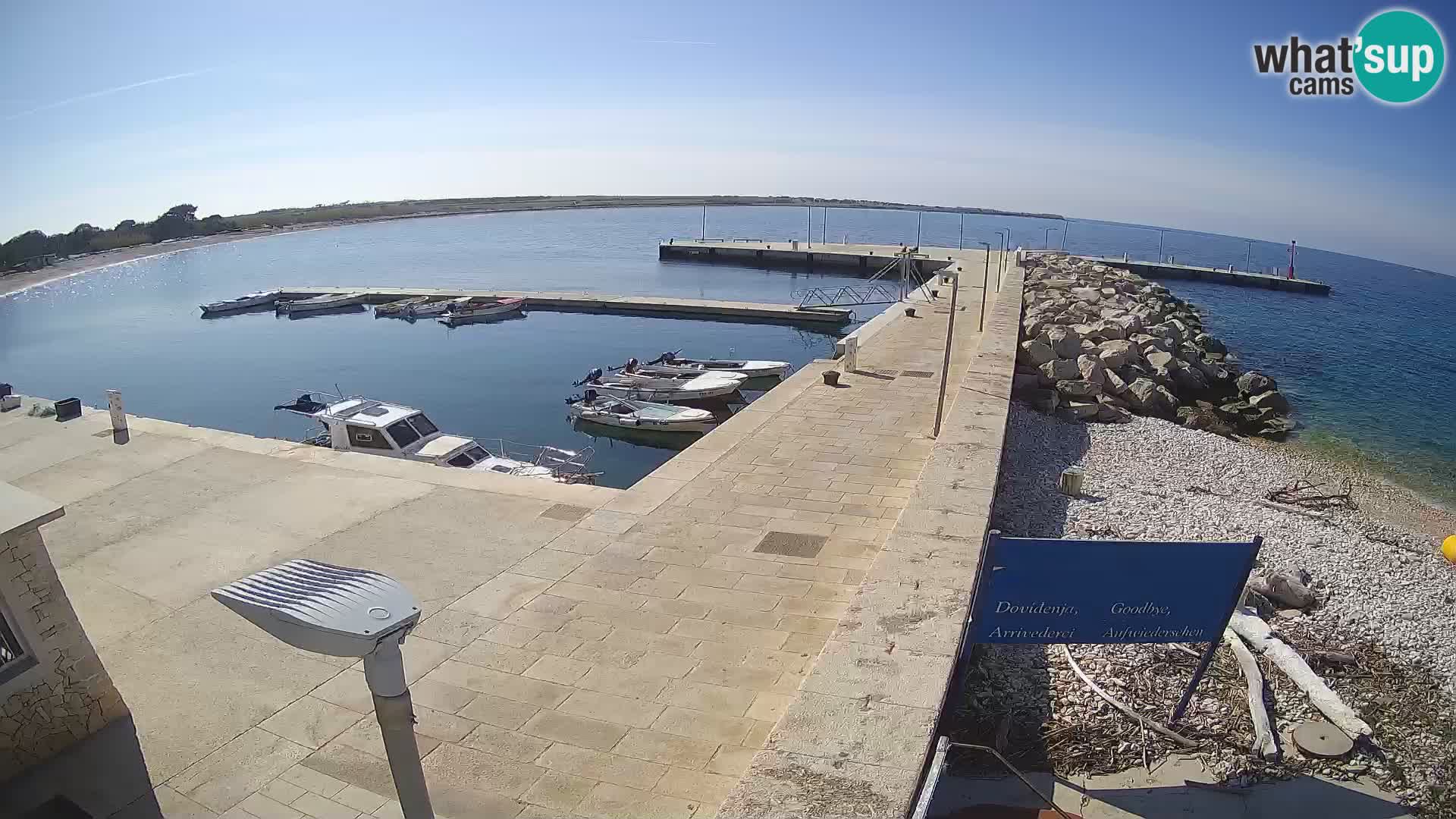 Cámara web de la isla de Unije: explore la belleza de la joya escondida de Croacia