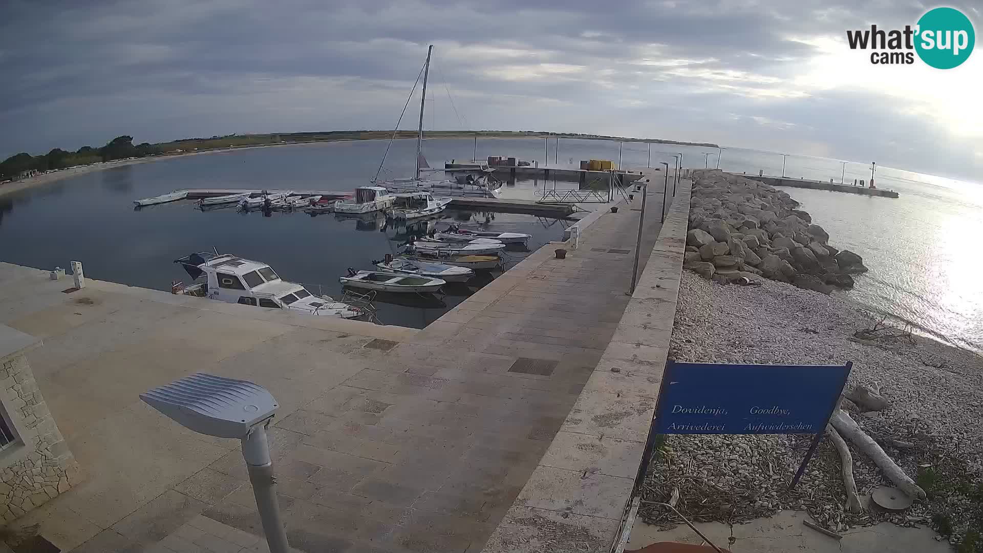 Cámara web de la isla de Unije: explore la belleza de la joya escondida de Croacia