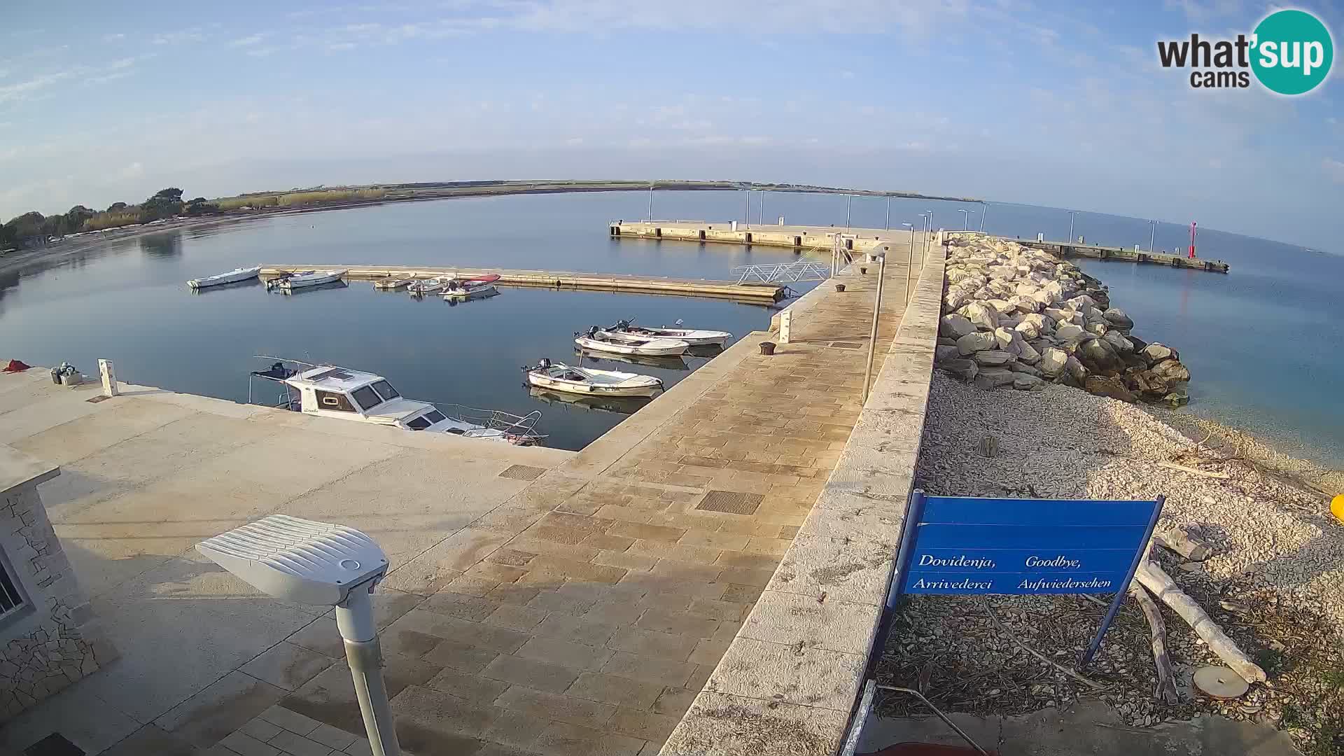 Cámara web de la isla de Unije: explore la belleza de la joya escondida de Croacia