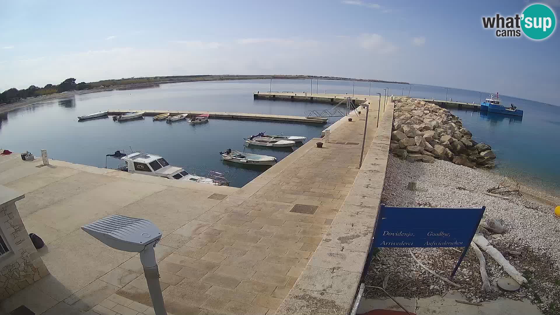 Cámara web de la isla de Unije: explore la belleza de la joya escondida de Croacia