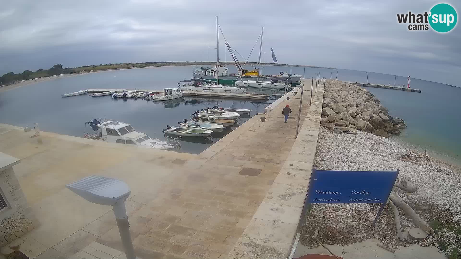 Cámara web de la isla de Unije: explore la belleza de la joya escondida de Croacia