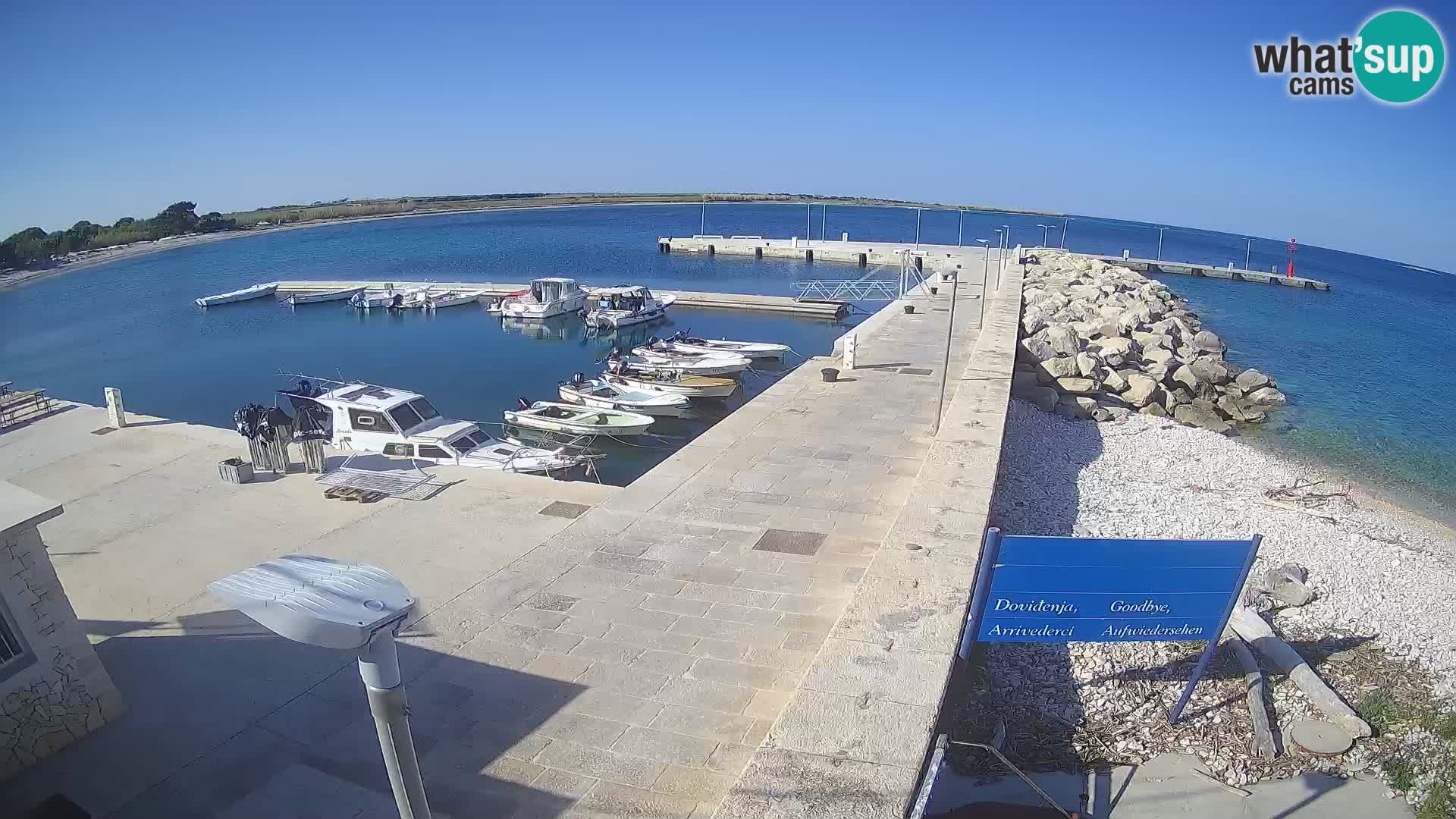 Cámara web de la isla de Unije: explore la belleza de la joya escondida de Croacia