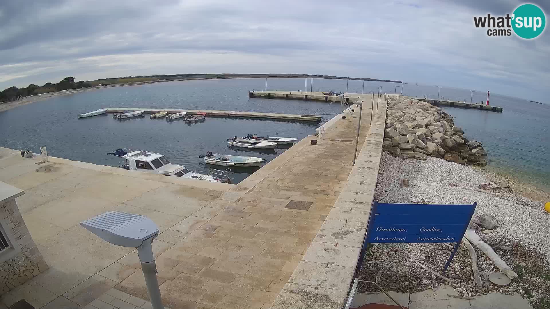 Cámara web de la isla de Unije: explore la belleza de la joya escondida de Croacia