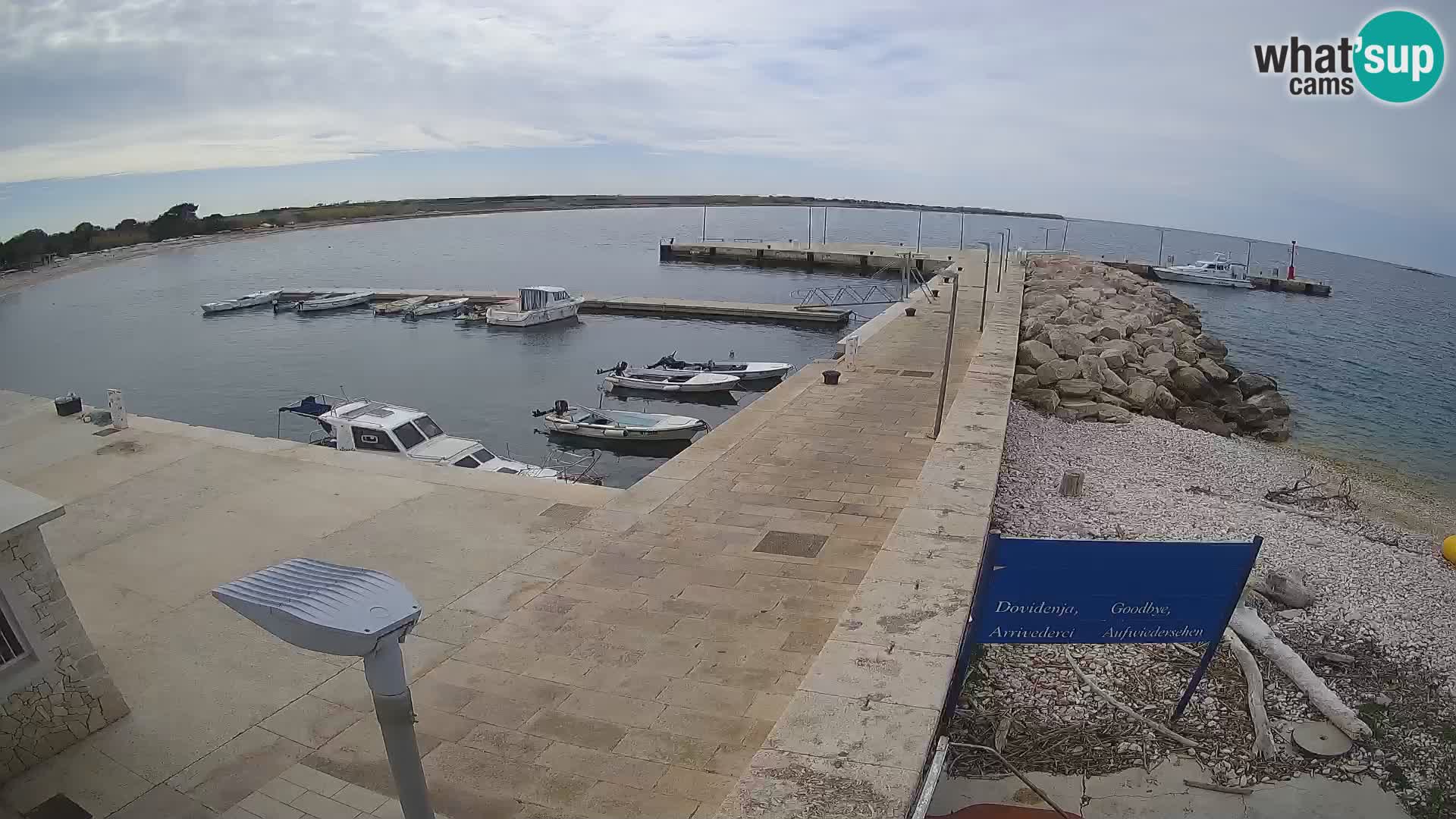 Cámara web de la isla de Unije: explore la belleza de la joya escondida de Croacia