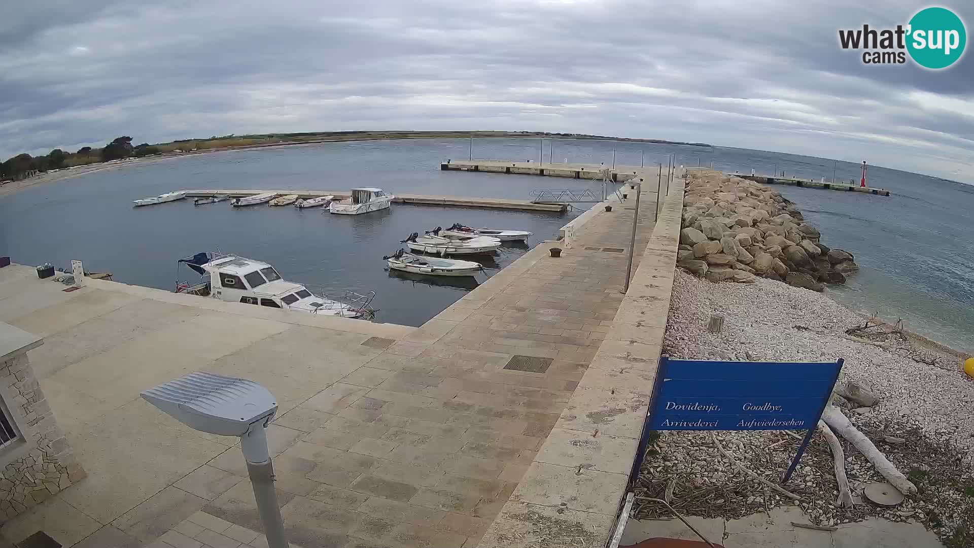 Webcam Isola di Unije – Esplora la bellezza della gemma nascosta della Croazia