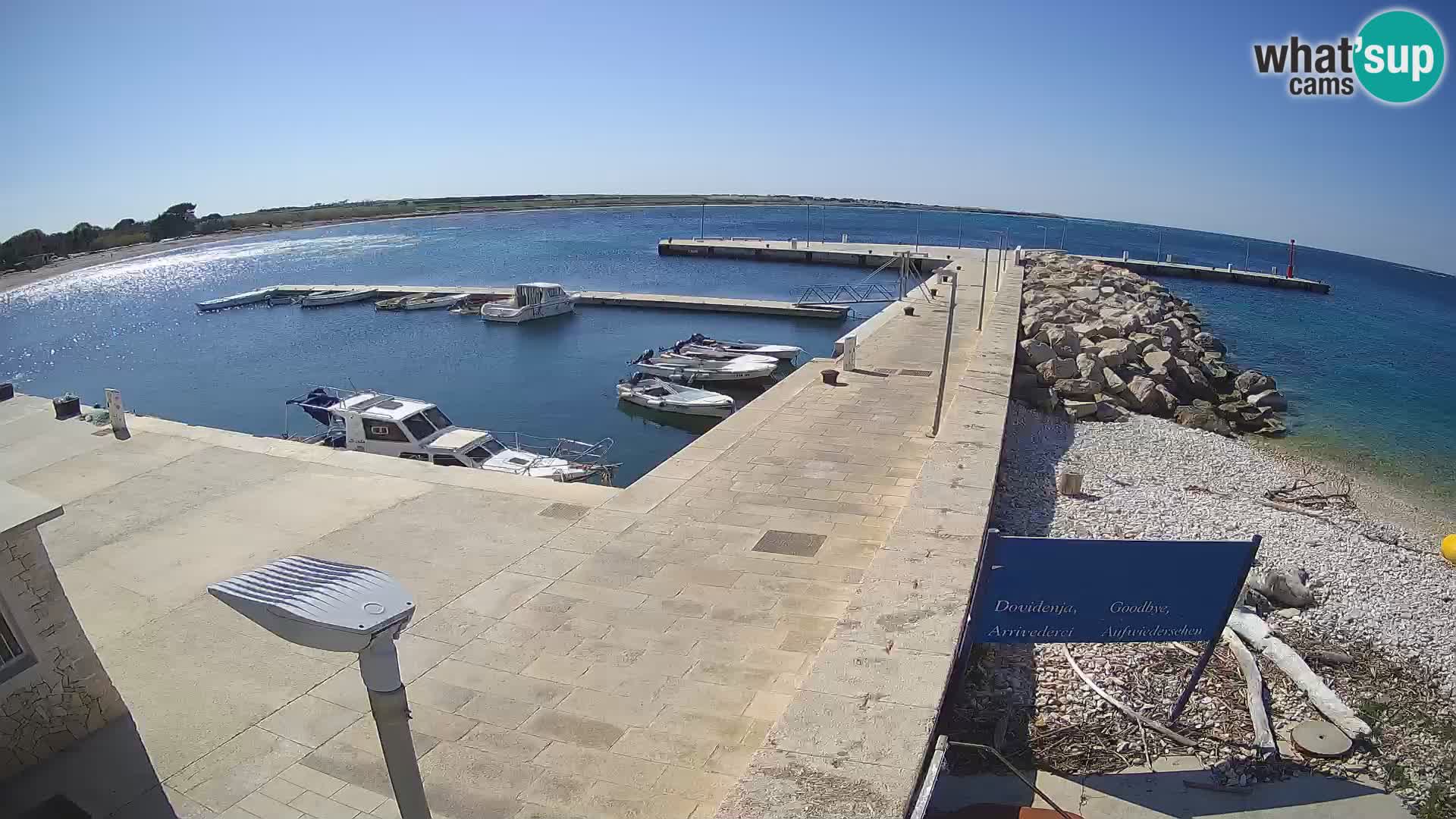 Webcam Isola di Unije – Esplora la bellezza della gemma nascosta della Croazia