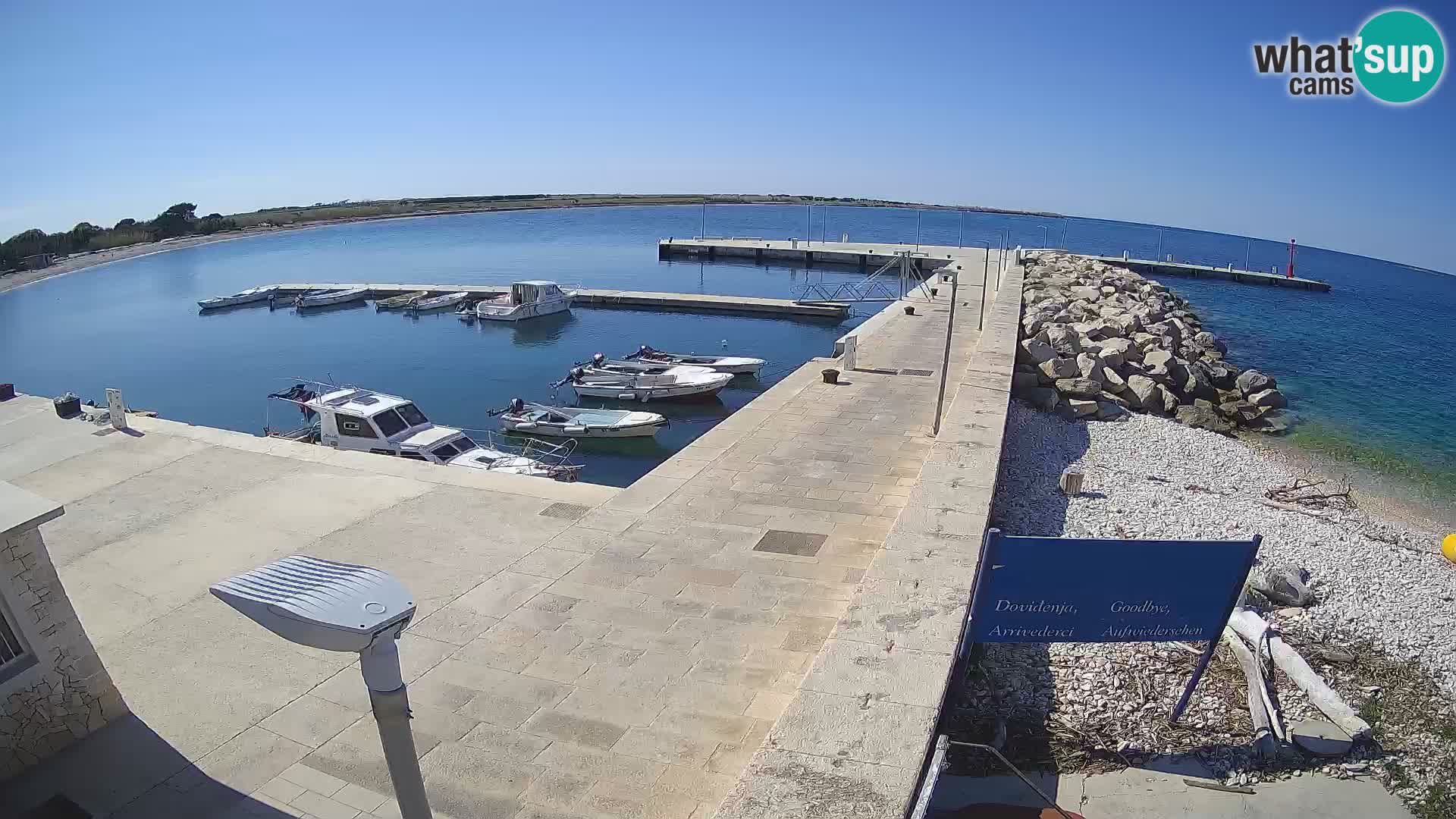 Cámara web de la isla de Unije: explore la belleza de la joya escondida de Croacia