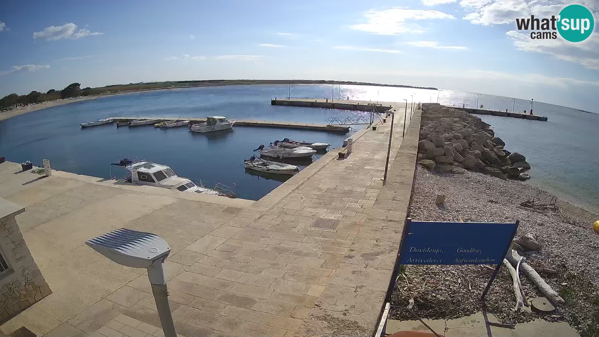 Cámara web de la isla de Unije: explore la belleza de la joya escondida de Croacia